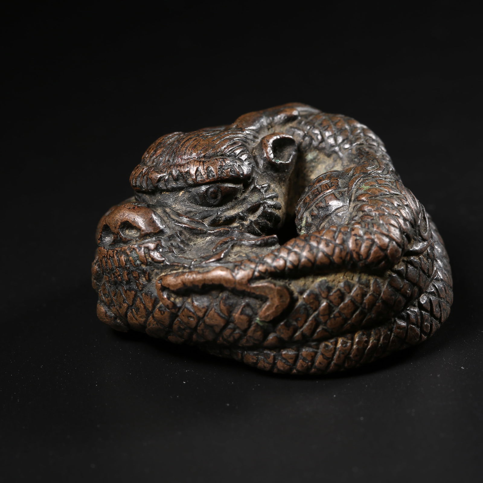 A BRONZE COILED-DRAGON PAPERWEIGHT: Bronze coiled-dragon paperweight
