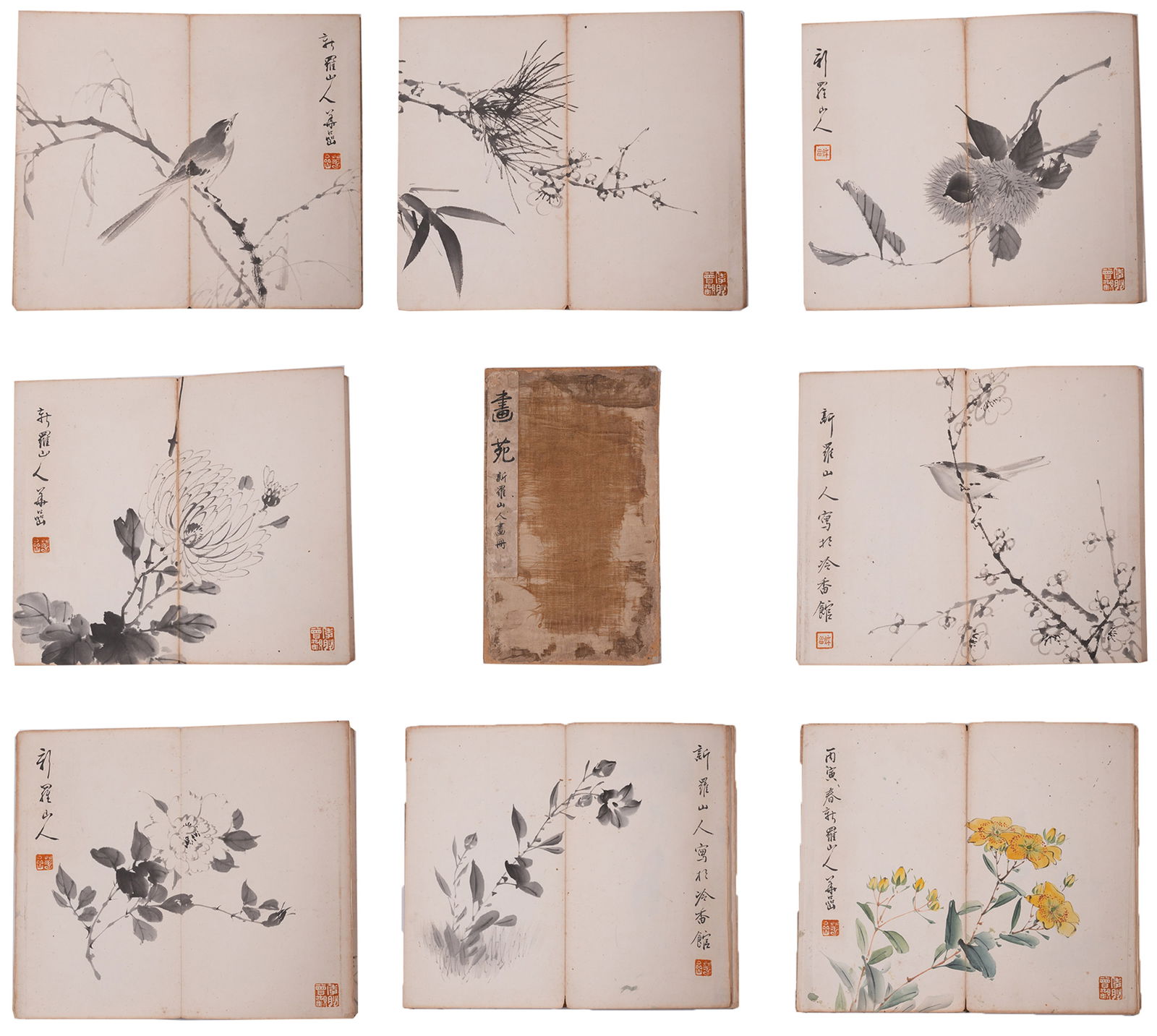 A BIRD-AND-FLOWER PAINTING ALBUM ON PAPER (11 PAGES), BY HUA YAN.華岩: Bird-and-flower painting album on paper (11 pages), by Hua Yan.華岩