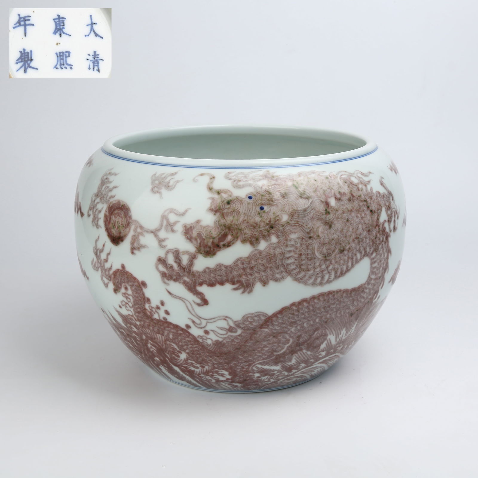 A UNDERGLAZE RED JAR WITH SEA DRAGON DESIGN (1 of 9)