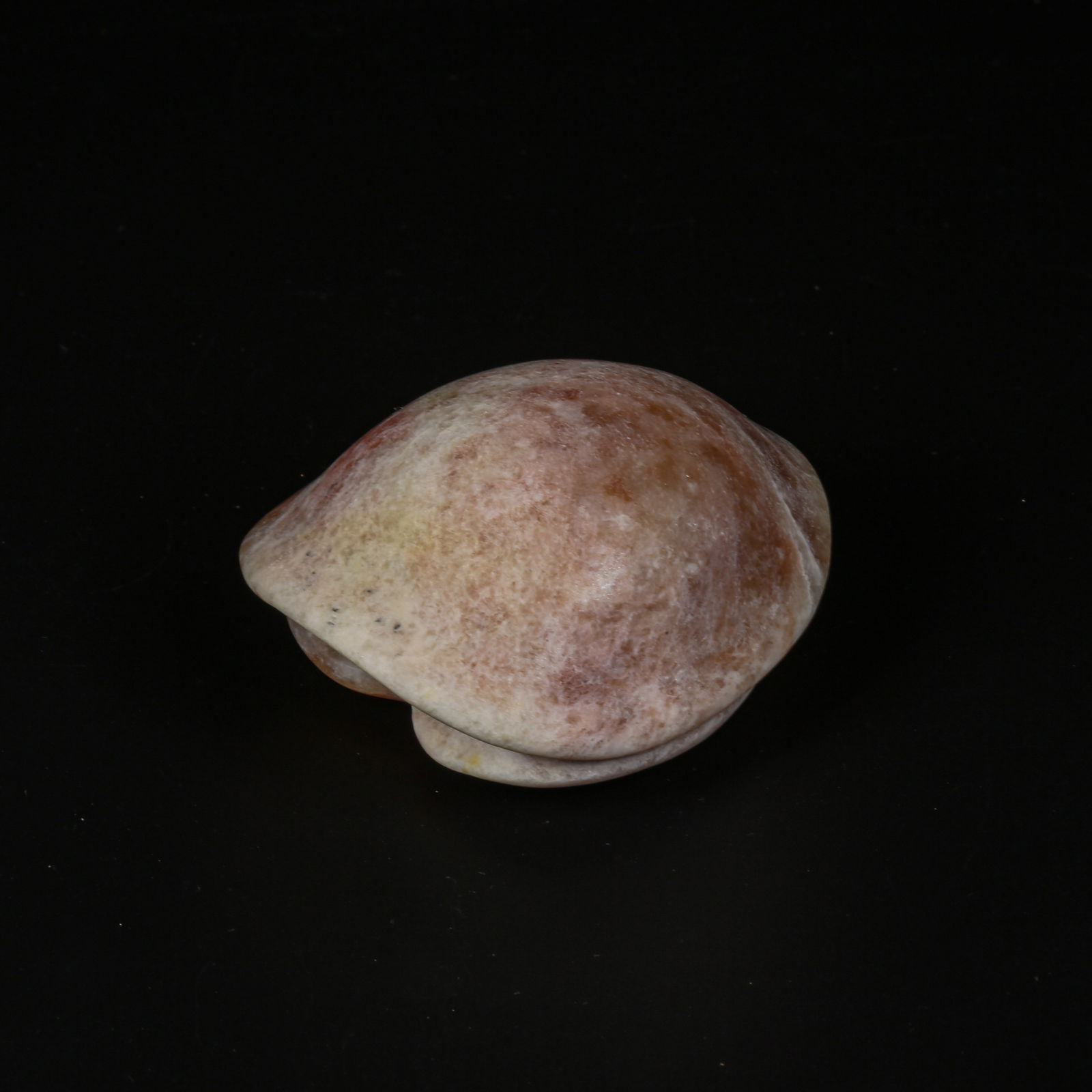 A ARCHAIC JADE TORTOISE-SHELL PENDANT (1 of 6)
