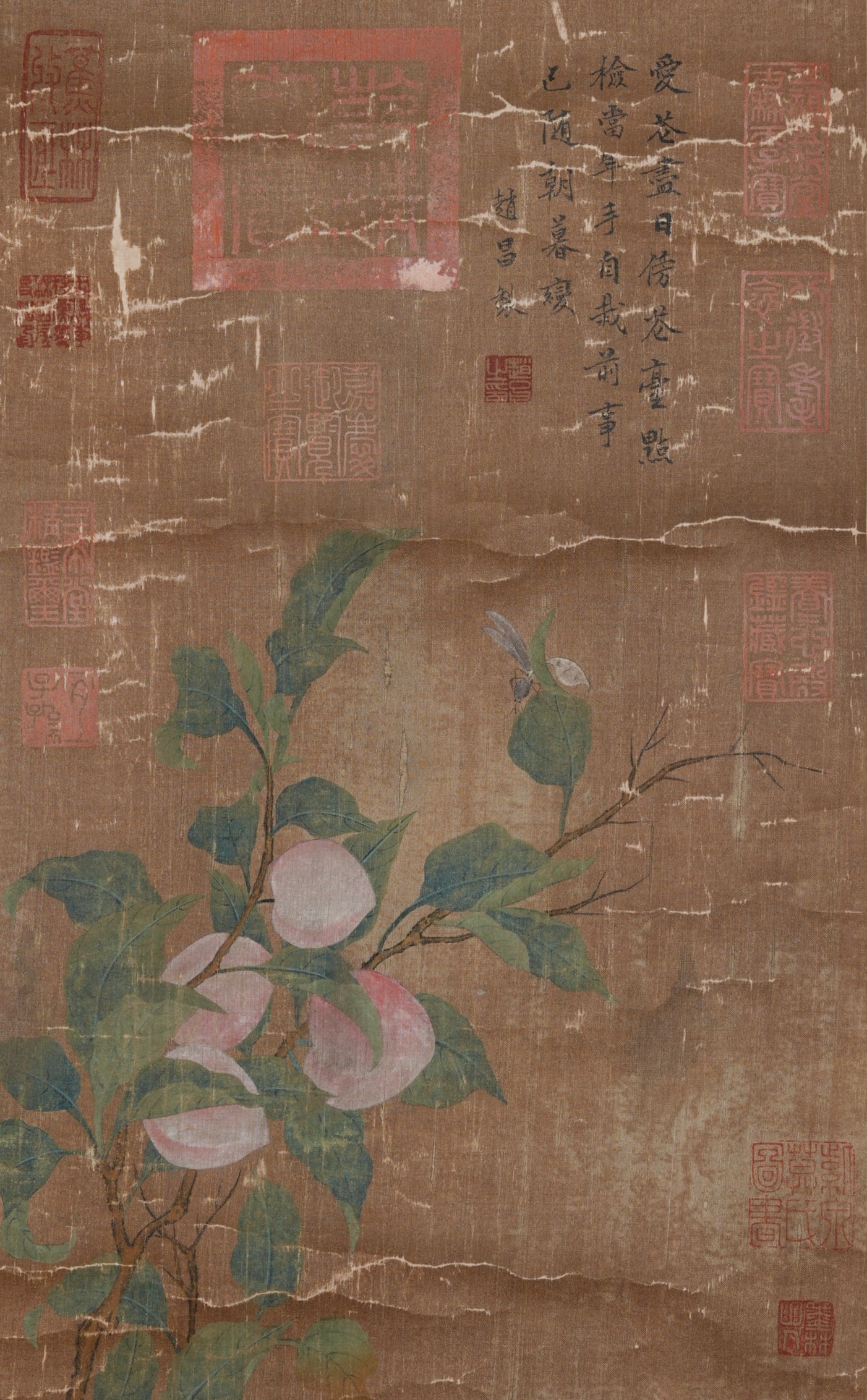 A LONGEVITY PEACHES PAINTING ON SILK BY ZHAO CHANG.趙昌 (1 of 7)