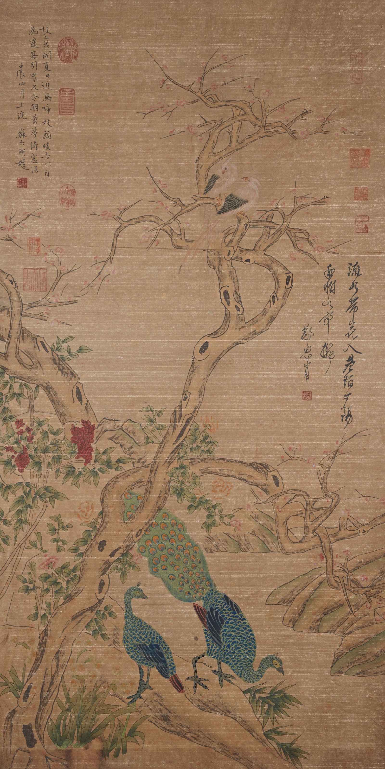 A PEACOCK PAINTING ON PAPER BY ZHENG SIXIAO.鄭思肖 (1 of 10)