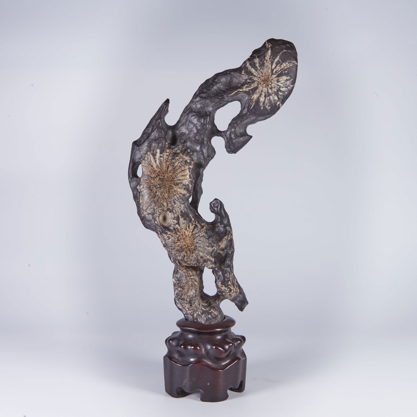 A CHRYSANTHEMUM STONE ORNAMENT: Chrysanthemum stone ornament