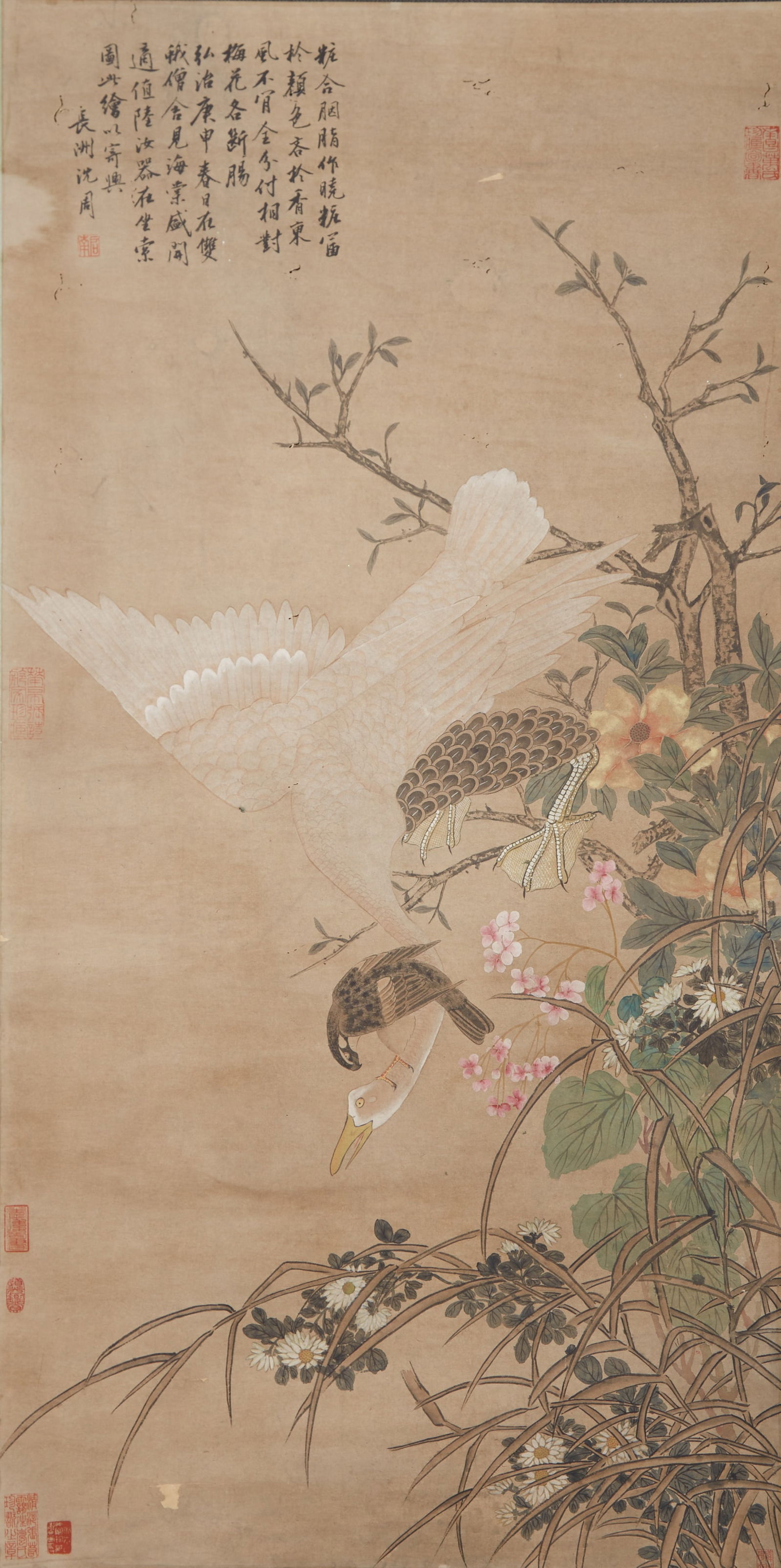 A BIRD-AND-FLOWER PAINTING ON PAPER BY SHEN ZHOU.沈周 (1 of 10)