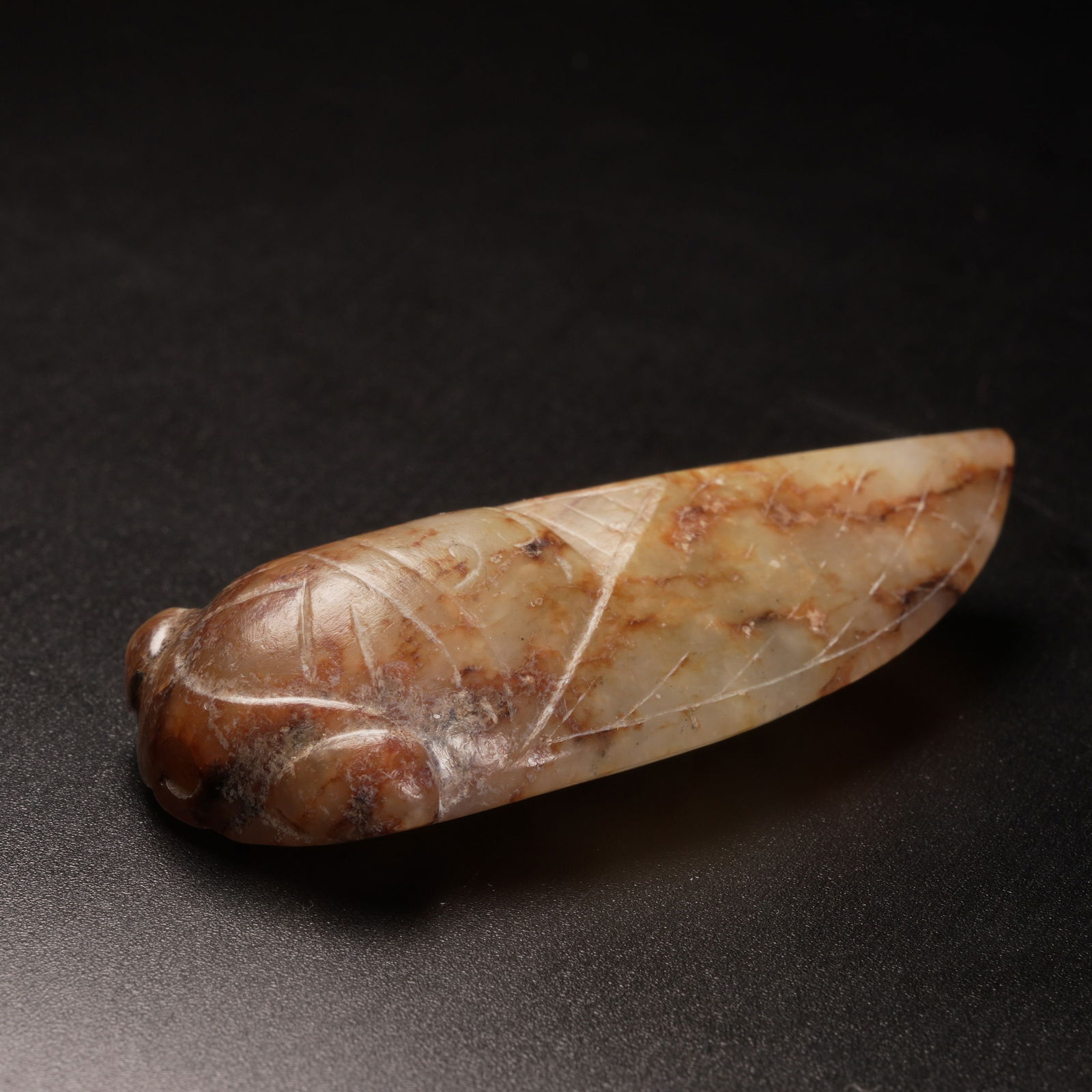 A ANCIENT JADE CICADA (1 of 8)