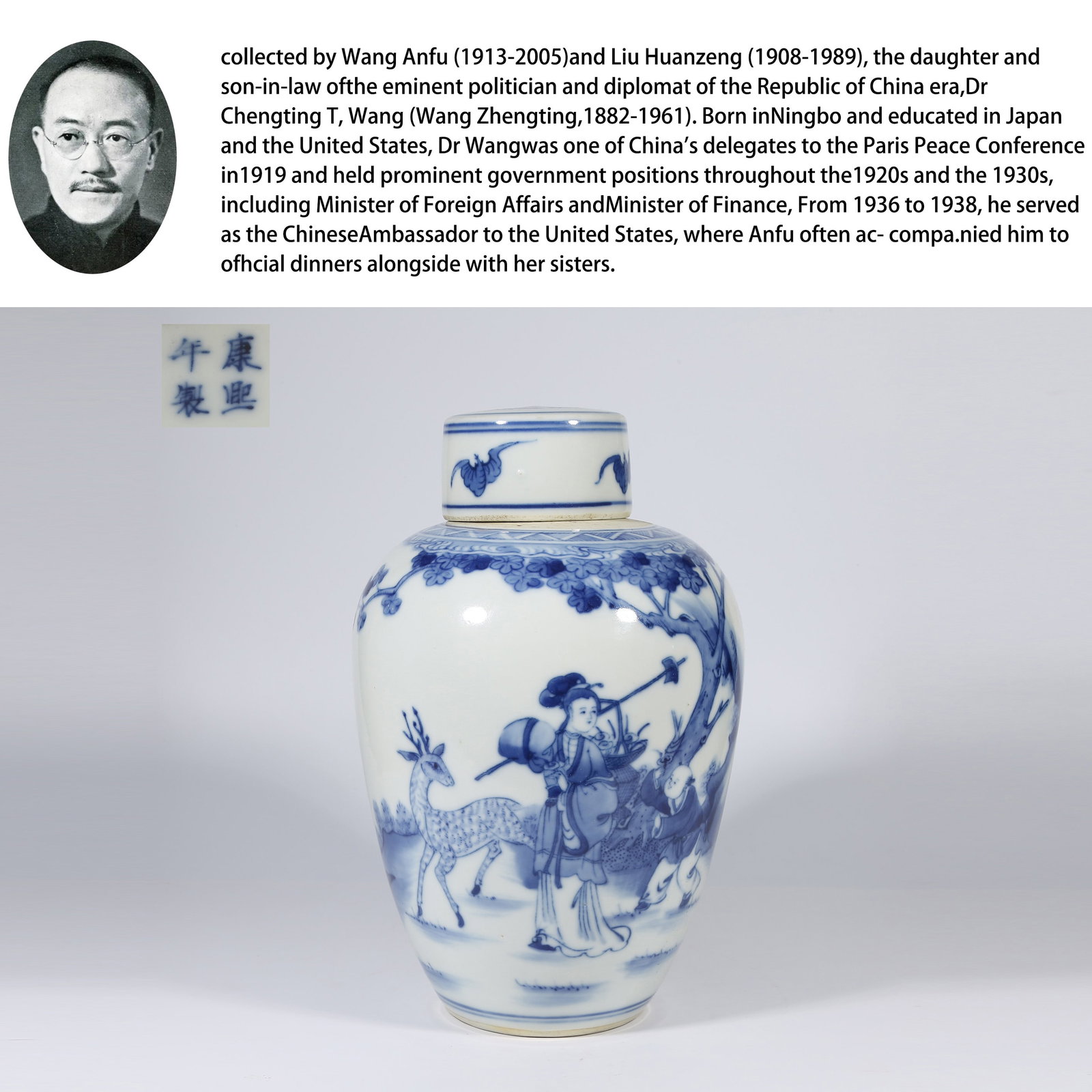 A BLUE-AND-WHITE TEA CADDY WITH MAGU OFFERING LONGEVITY MOTIF (1 of 10)