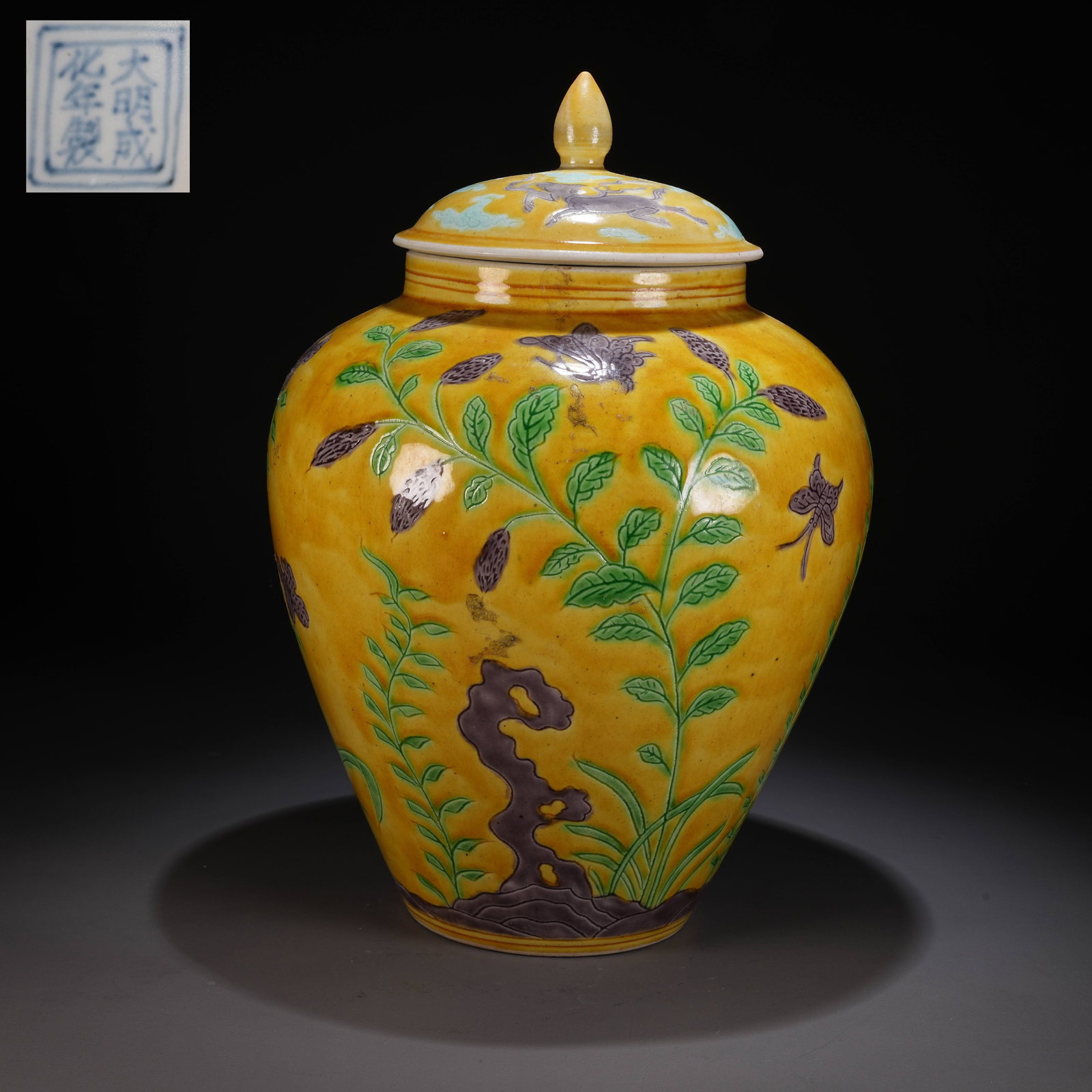 A SANCAI (THREE-COLOR) COVERED JAR WITH FLOWER-AND-BUTTERFLY MOTIFS (1 of 9)