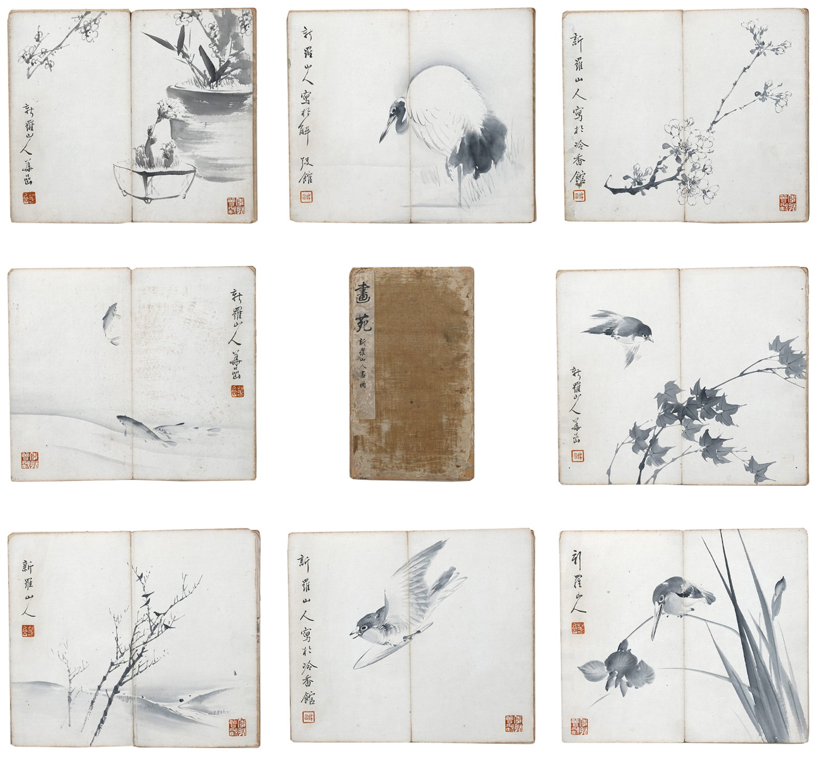 A FLOWER AND BIRD PAINTING ALBUM LEAVES ON PAPER BY HUA YAN.華岩 (1 of 13)