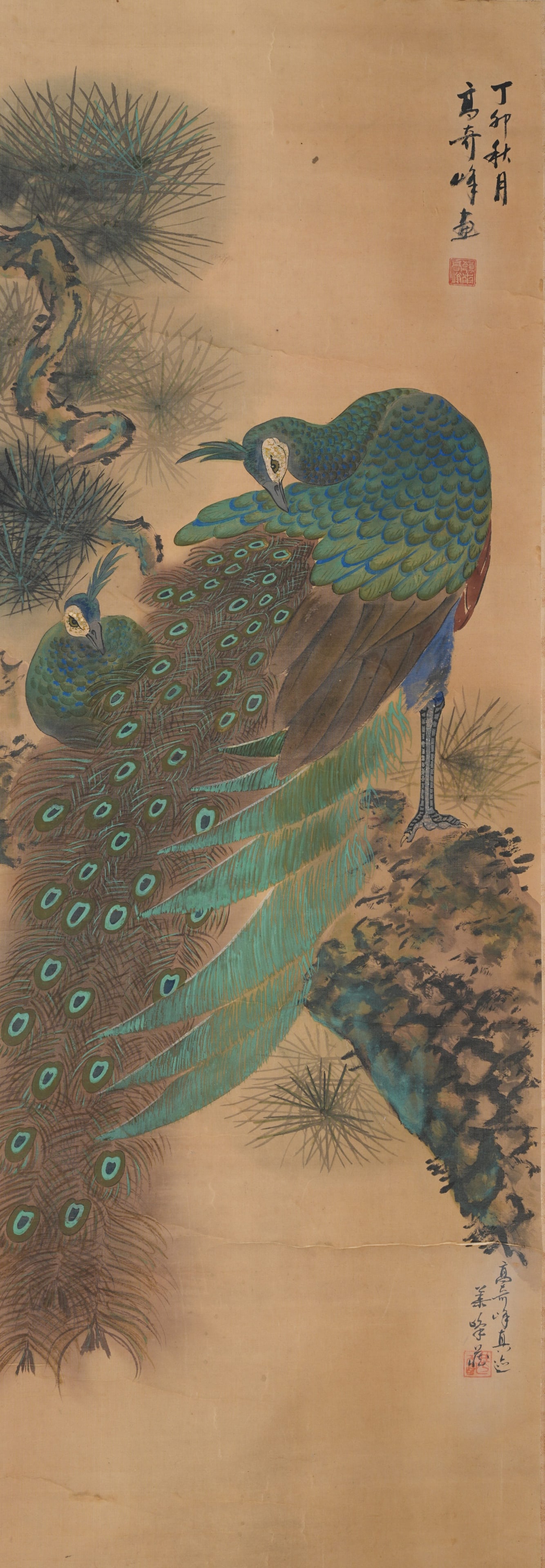 A PEACOCK PAINTING ON SILK BY GAO QIFENG.高奇峰: Peacock Painting on Silk by Gao Qifeng.高奇峰