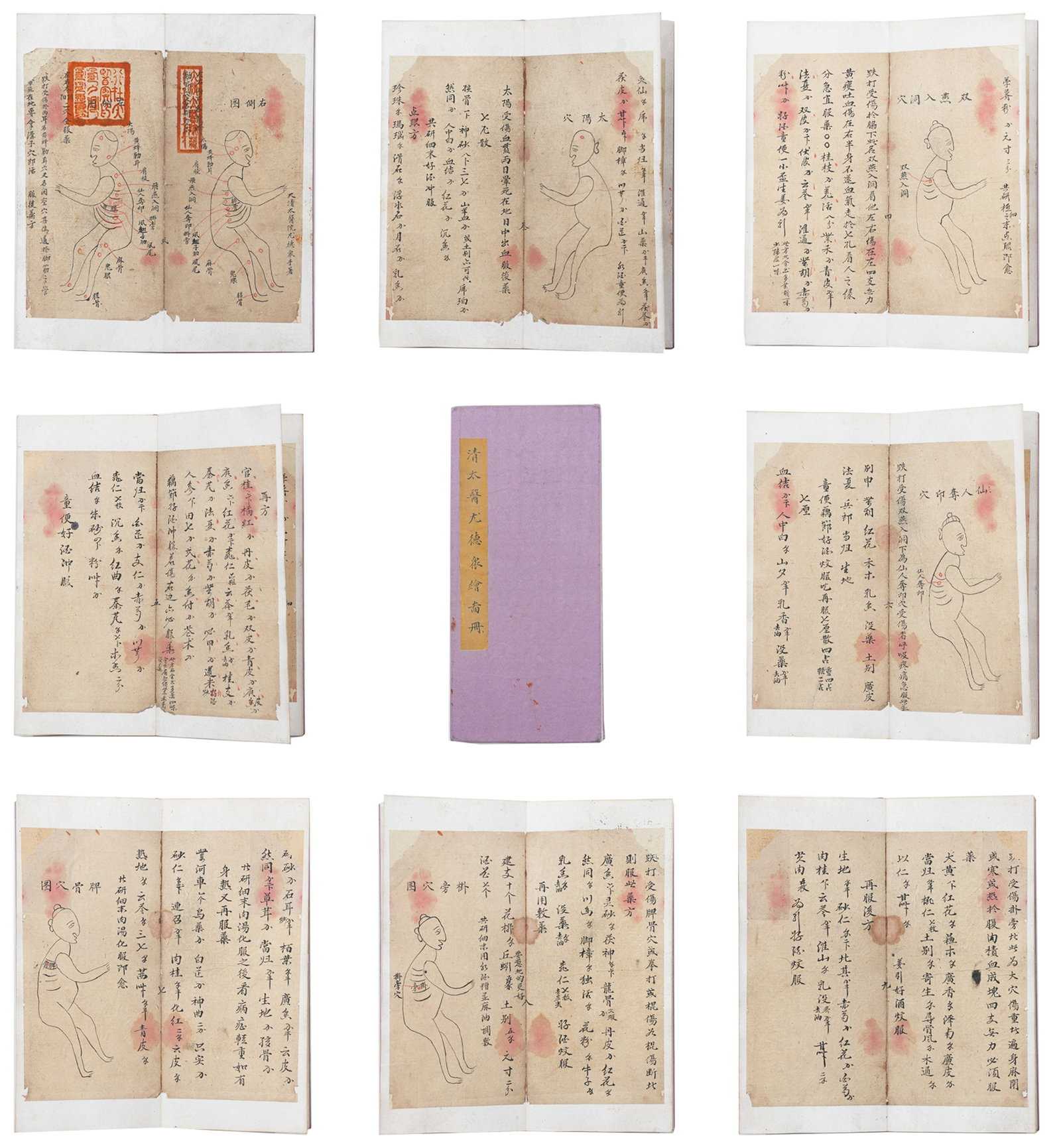 A MEDICAL BOOK ALBUM LEAVES ON PAPER BY YOU DEZHONG.尤德眾: Medical Book Album Leaves on Paper by You Dezhong.尤德眾