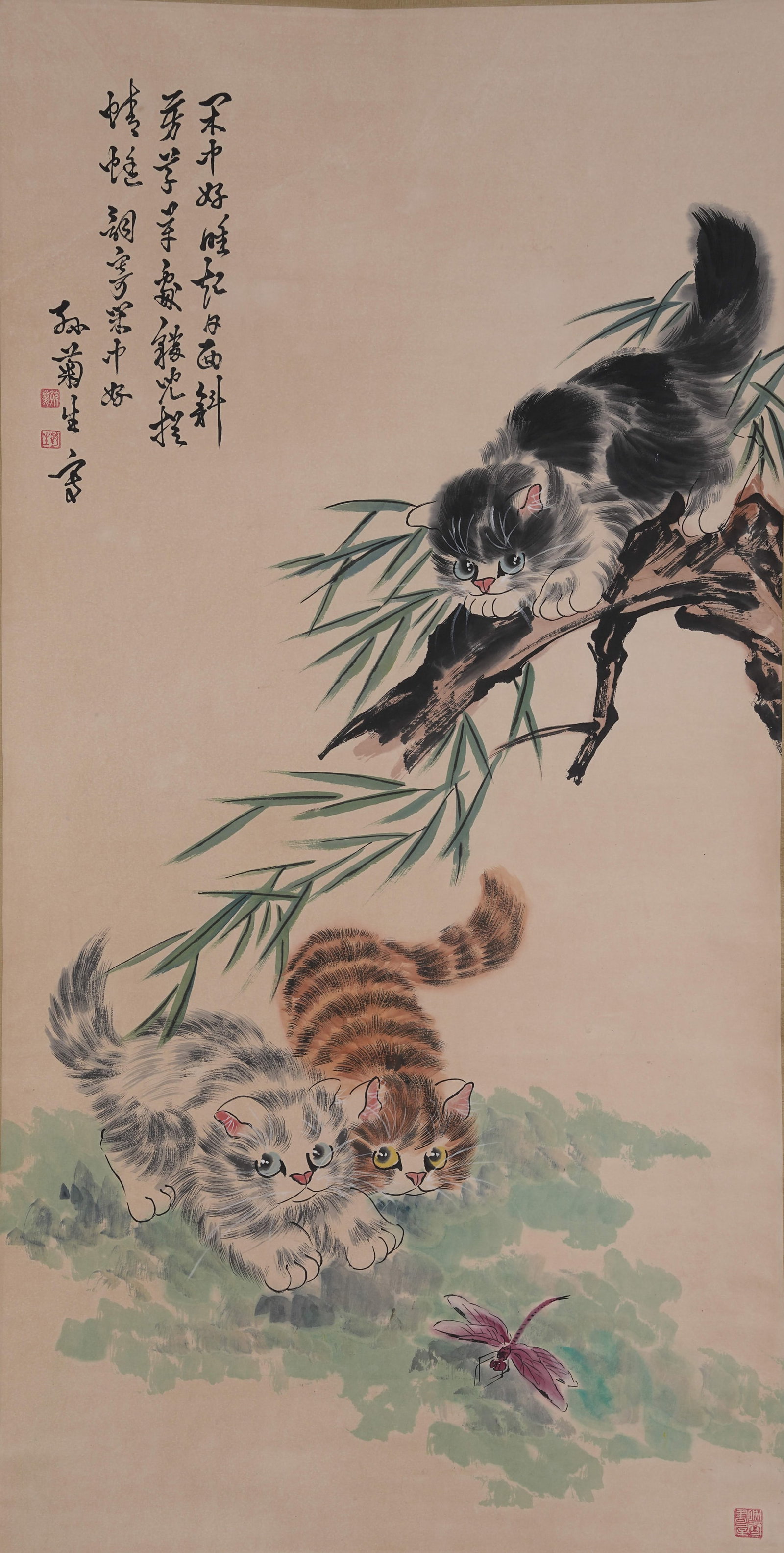 A CAT FUN PAINTING ON PAPER BY SUN JUSHENG.孫菊生: Cat Fun Painting on Paper by Sun Jusheng.孫菊生