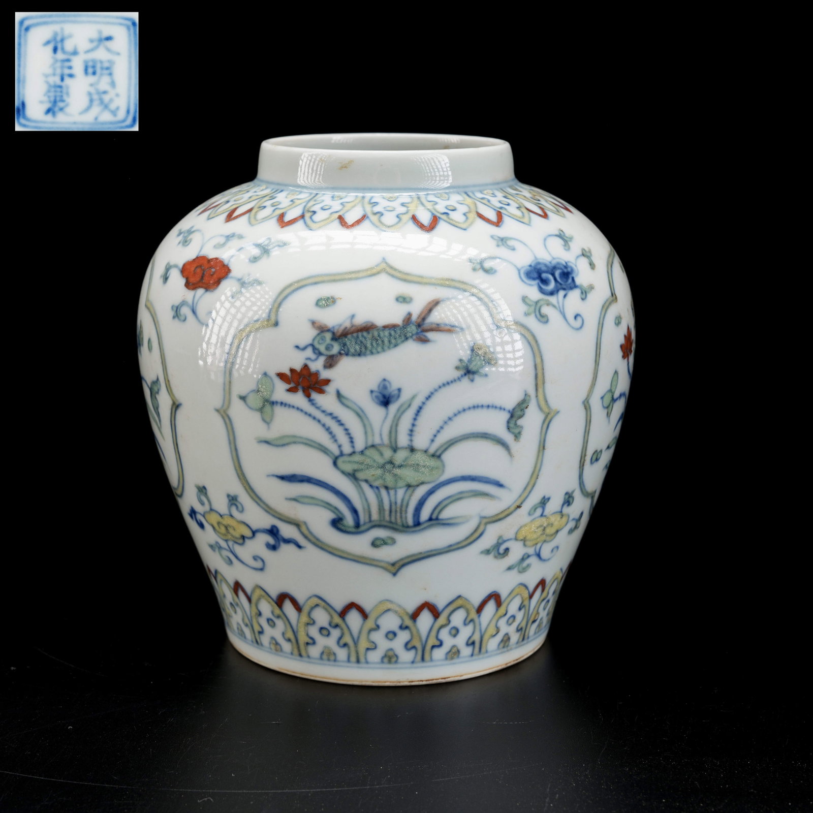 A DOUCAI JAR WITH FISH AND ALGAE PATTERN (1 of 9)