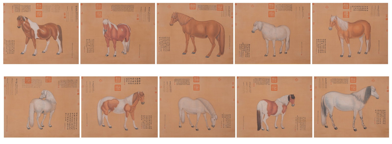 A TEN STEEDS PAINTINGS ON SILK BY GIUSEPPE CASTIGLIONE (10 PIECES).郎世寧: Ten Steeds Paintings on Silk by Giuseppe Castiglione (10 Pieces).郎世寧