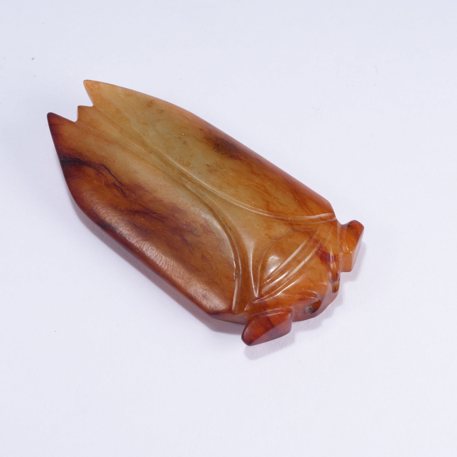 A ANCIENT JADE CICADA (1 of 9)
