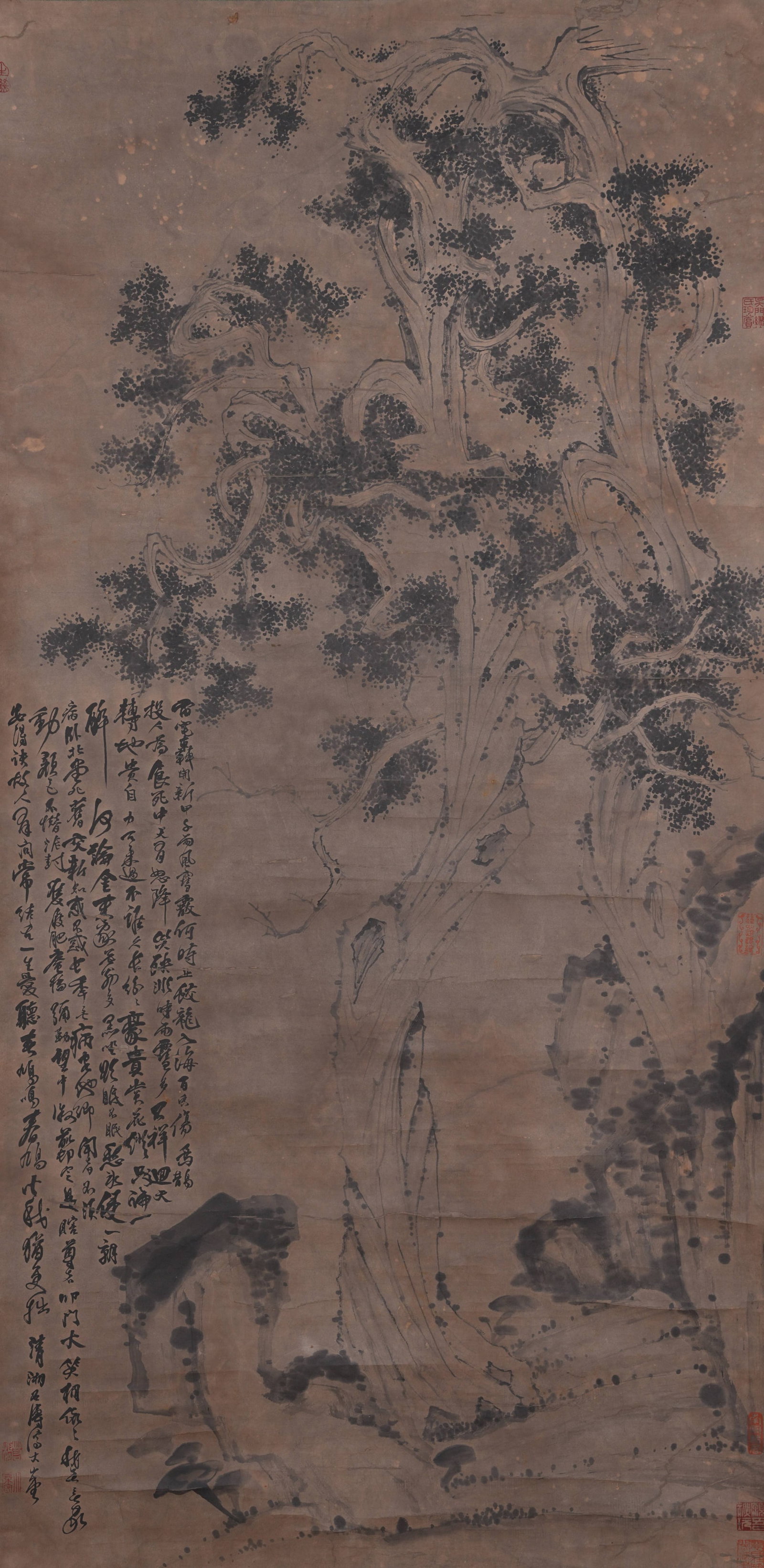 A ANCIENT TREE PAINTING ON PAPER BY SHI TAO.石濤 (1 of 10)