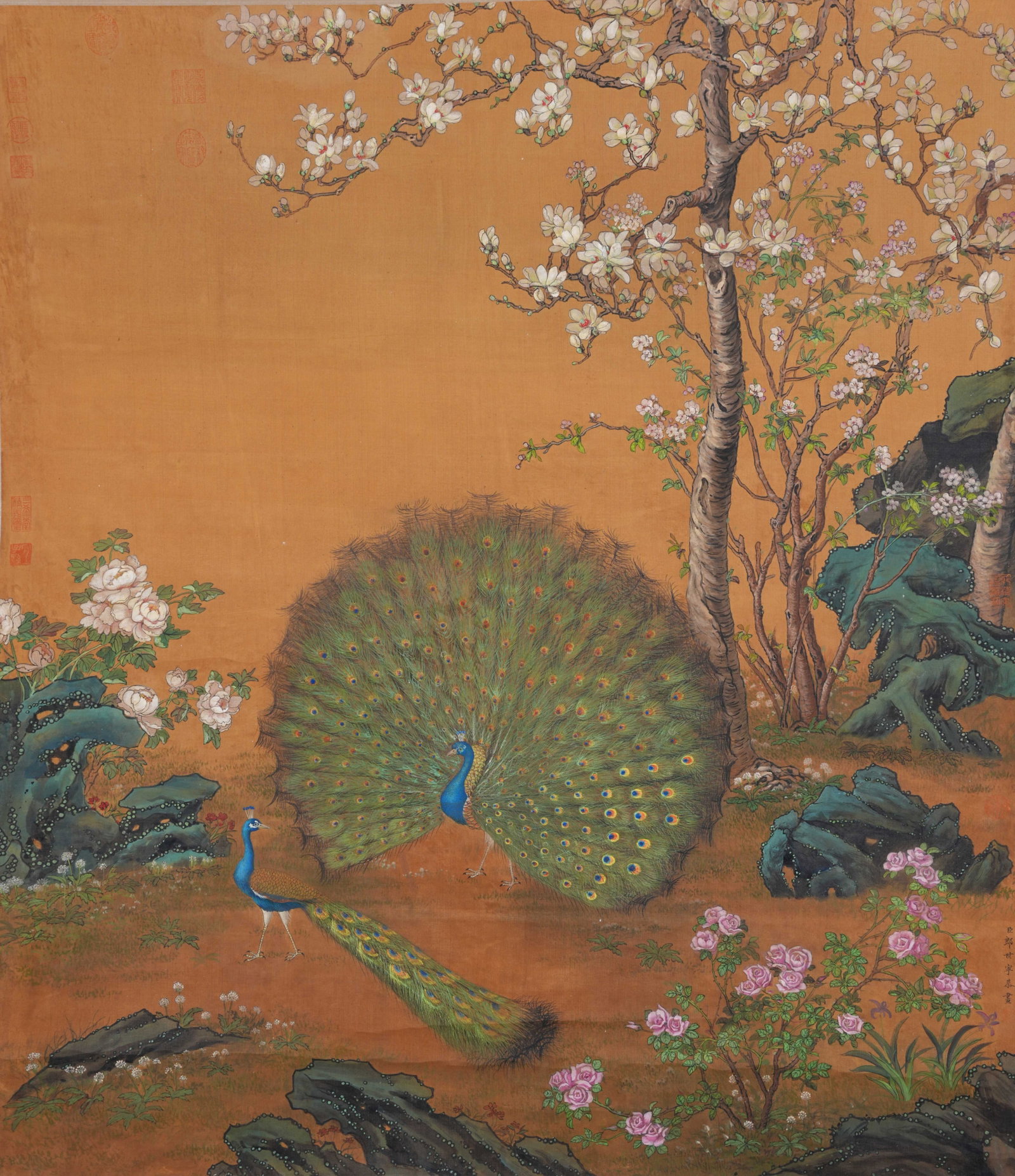 A PEACOCK PAINTING ON SILK BY GIUSEPPE CASTIGLIONE.郎世寧 (1 of 12)