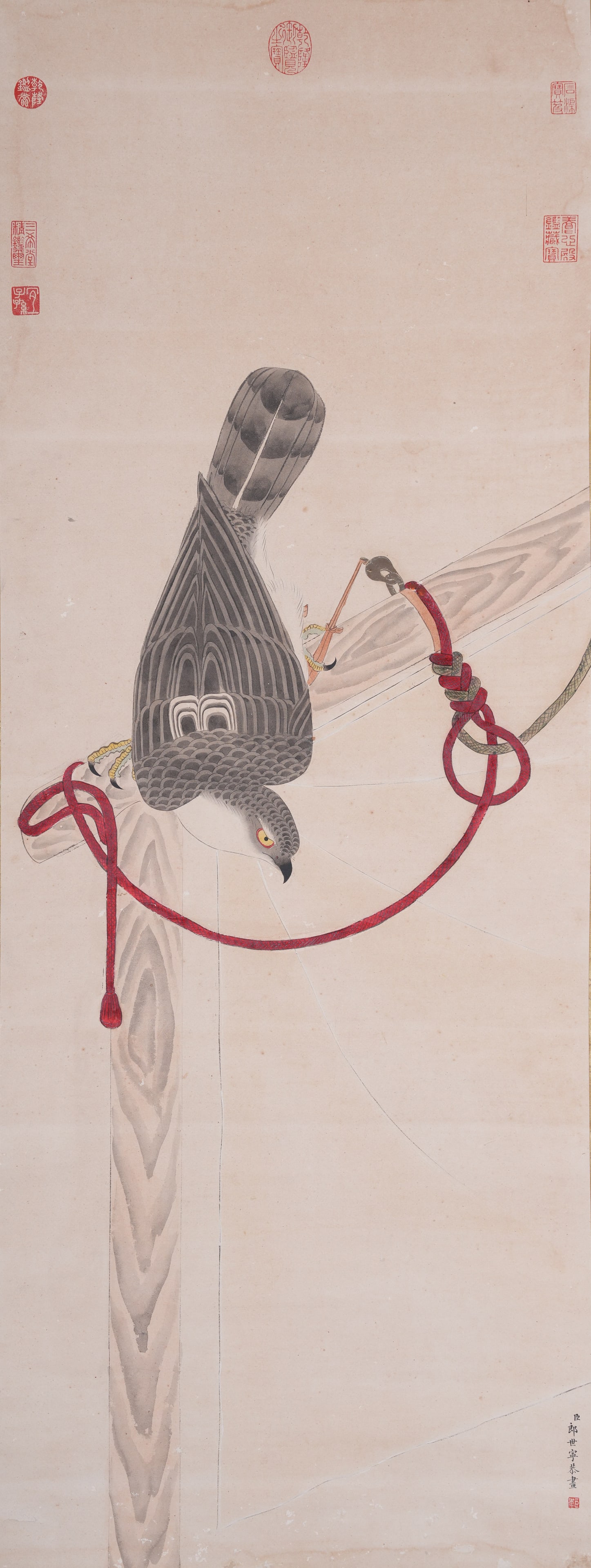 A IMPERIAL EAGLE PAINTING ON PAPER BY GIUSEPPE CASTIGLIONE.郎世寧: Imperial Eagle Painting on Paper by Giuseppe Castiglione.郎世寧