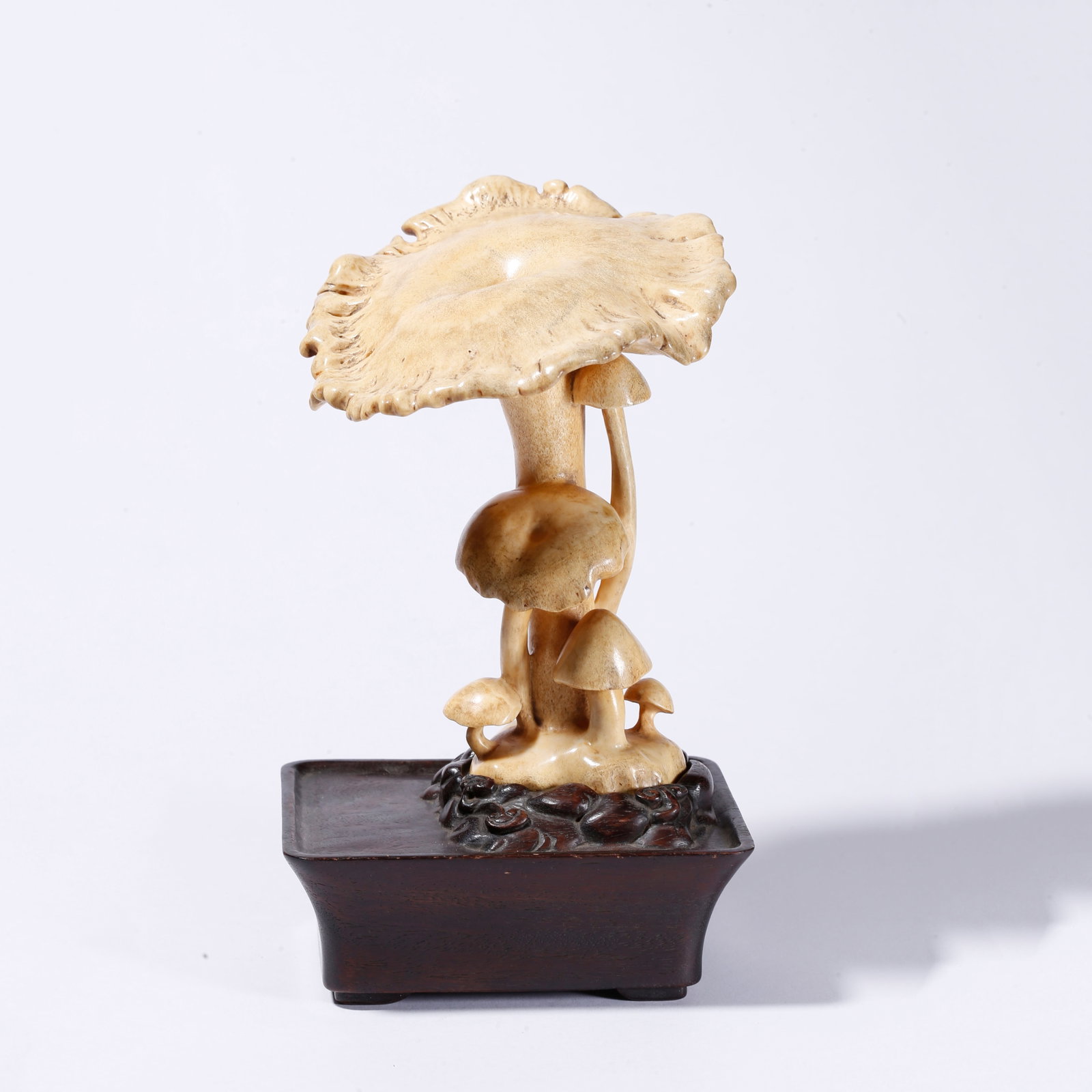 A BONE ORNAMENT (1 of 11)