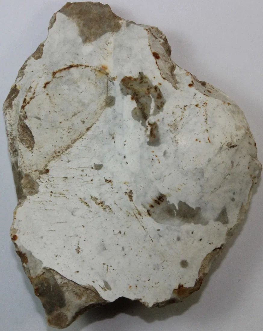 NEOLITHIC BEAKED SCRAPER (1 of 2)