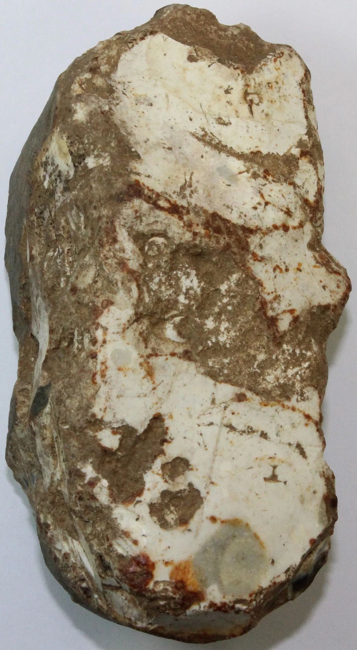 NEOLITHIC FLAKE AXE HEAD - 2