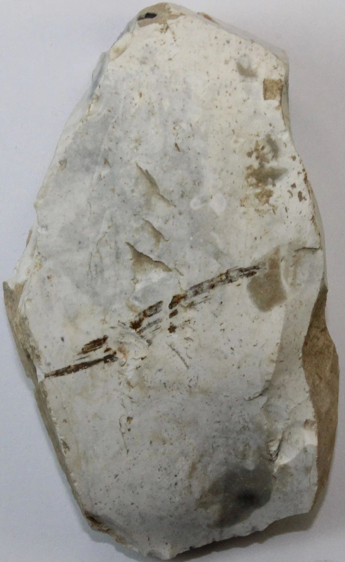 NEOLITHIC FLAKE AXE HEAD - 2