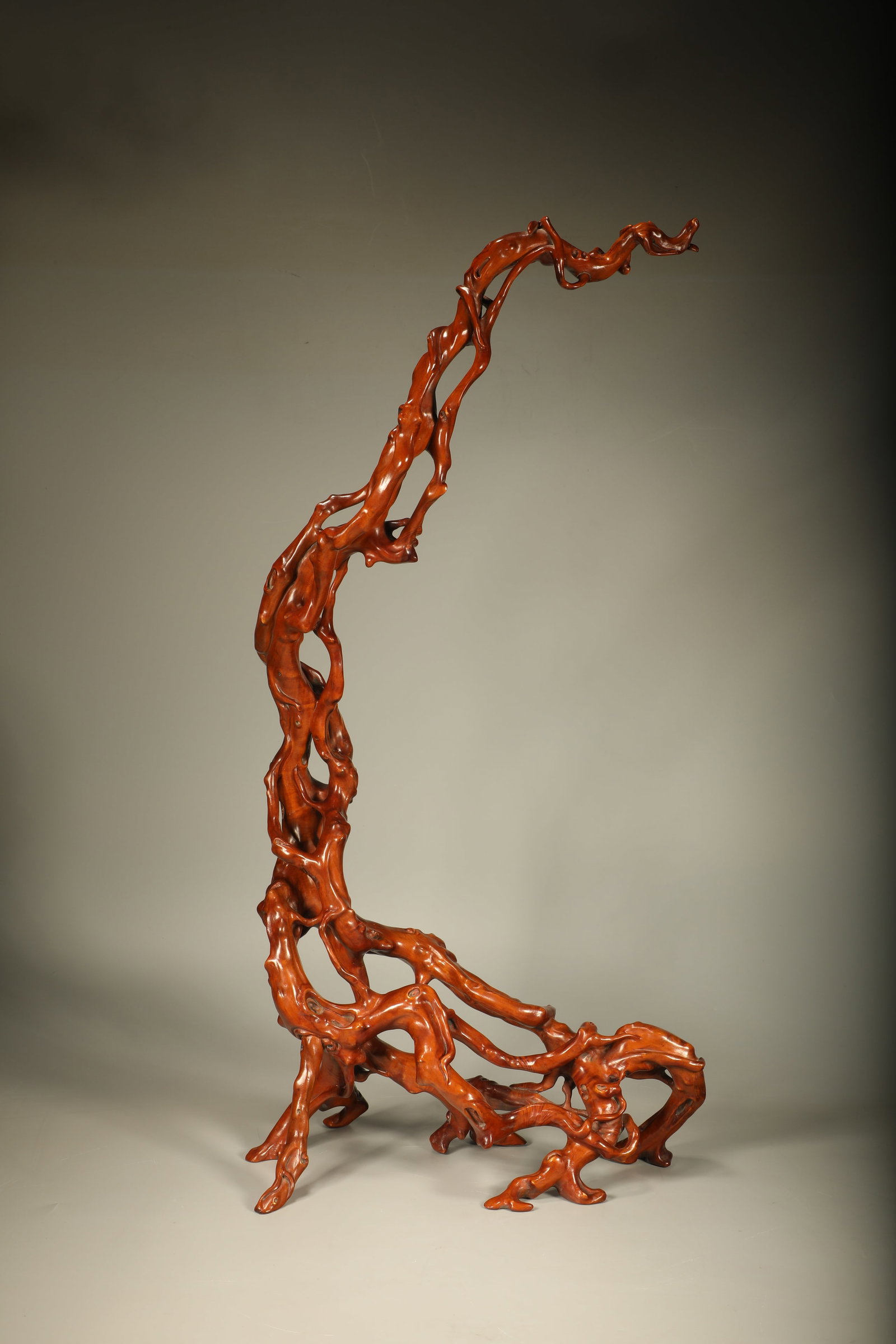 A BOXWOOD ROOT-FORM STAND (1 of 7)
