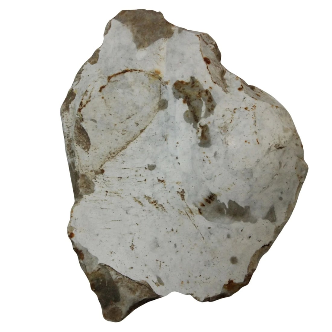 NEOLITHIC SCRAPER (1 of 5)
