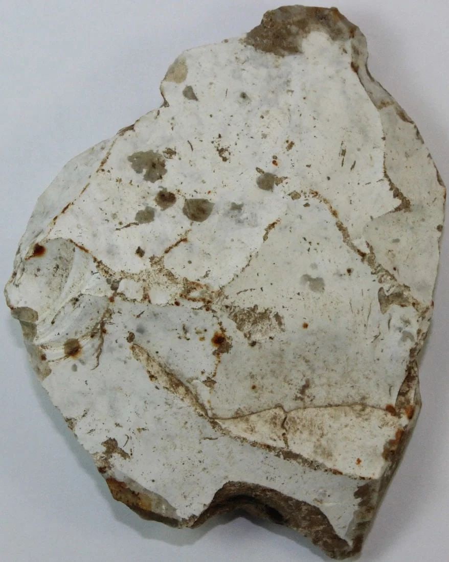 NEOLITHIC SCRAPER - 2