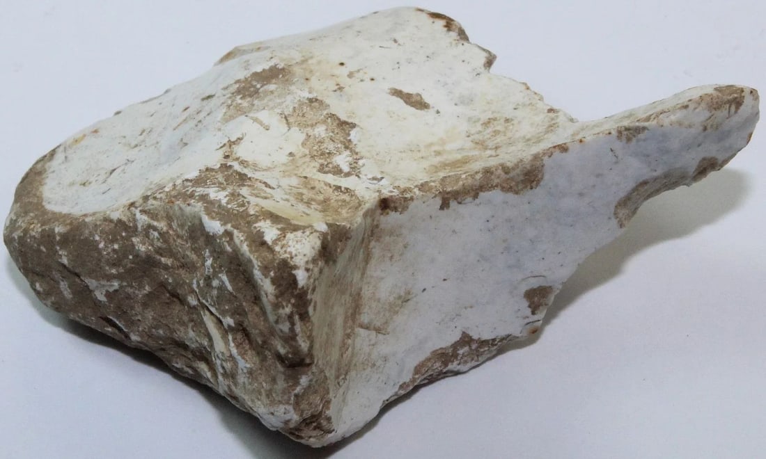 NEOLITHIC SCRAPER - 5