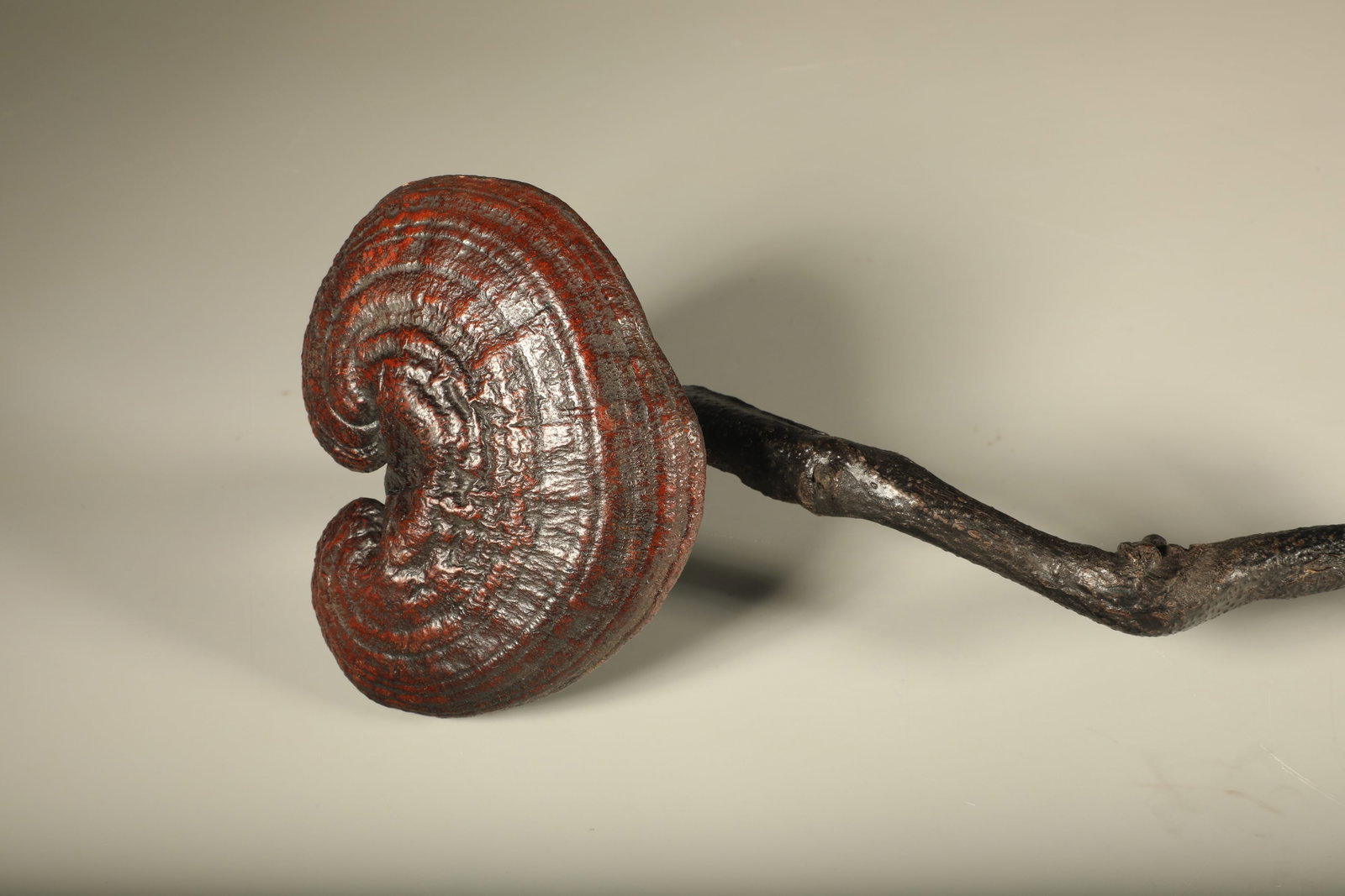 A GANODERMA RUYI SCEPTER - 2