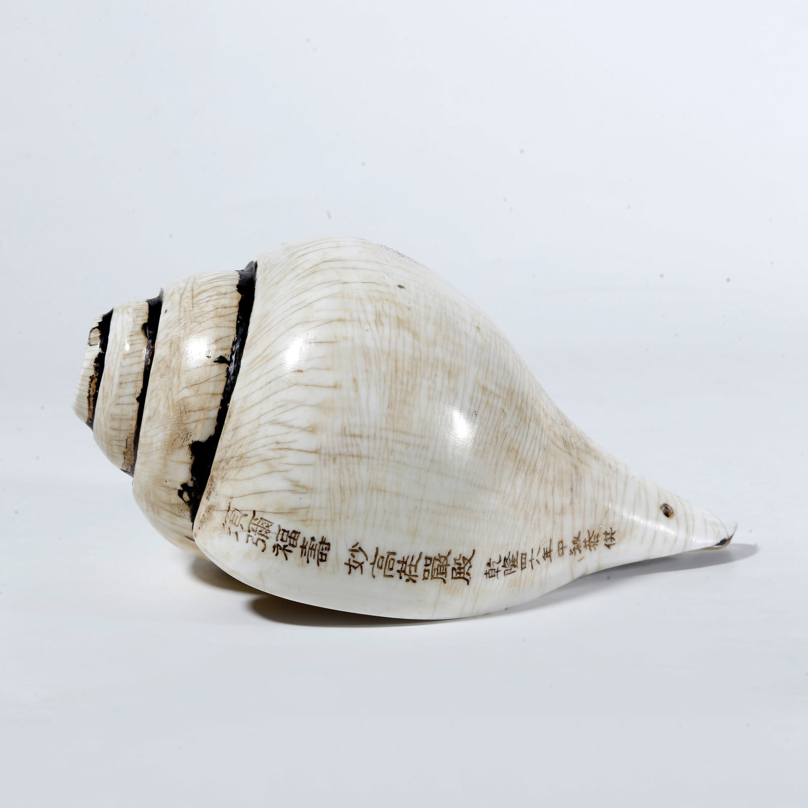 A CONCH?SHAPED RITUAL IMPLEMENT (1 of 9)