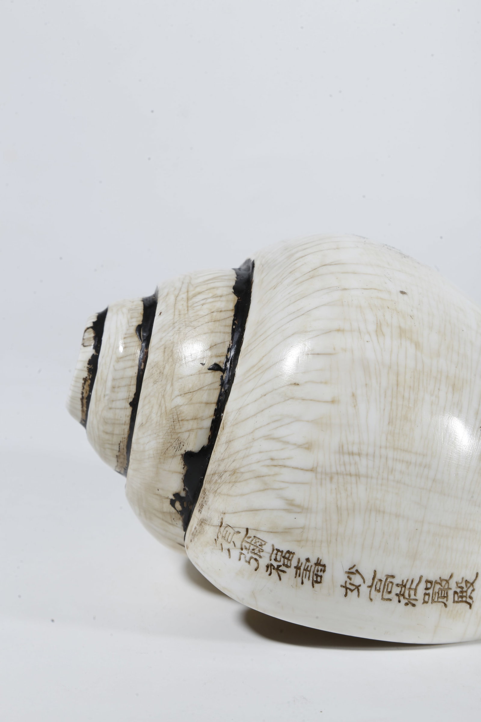A CONCH?SHAPED RITUAL IMPLEMENT - 2