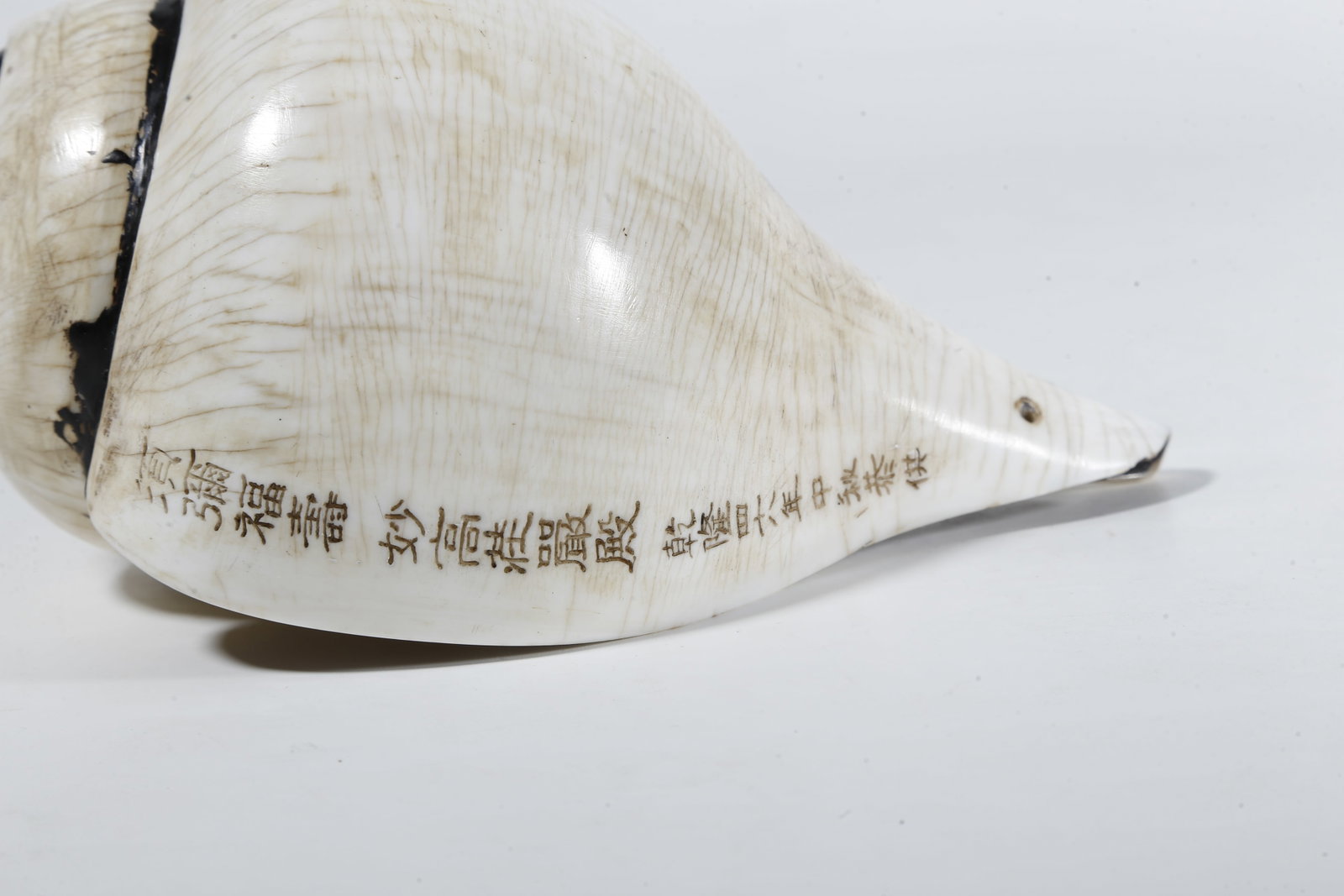 A CONCH?SHAPED RITUAL IMPLEMENT - 3