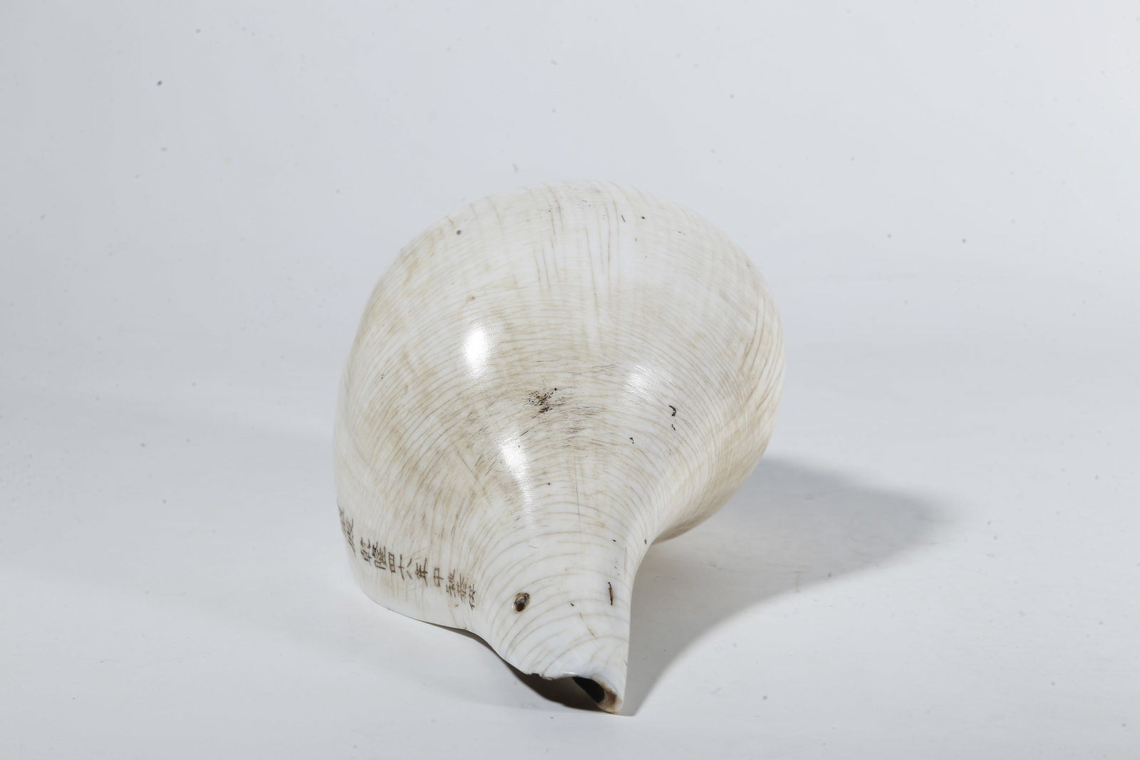 A CONCH?SHAPED RITUAL IMPLEMENT - 4