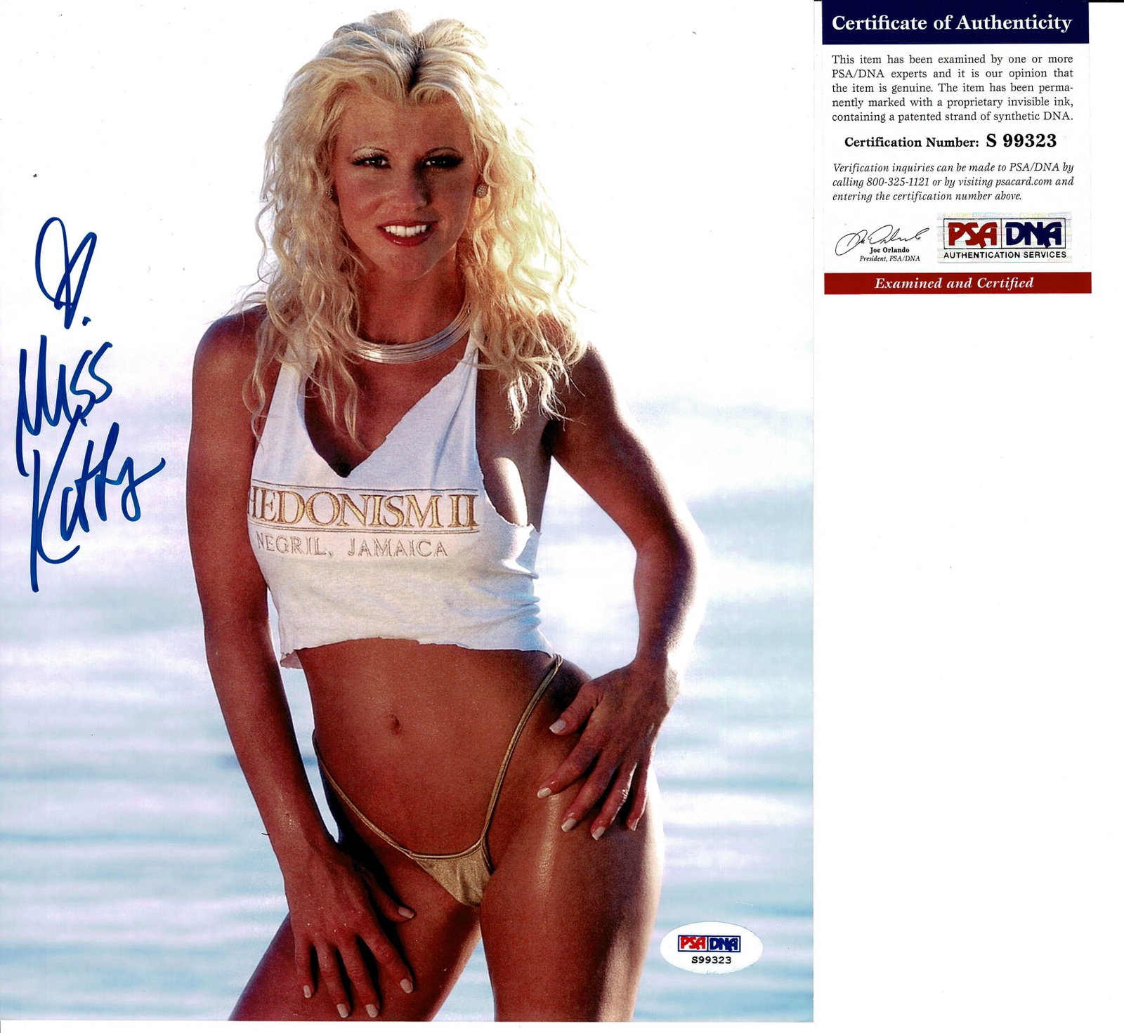 Stacy Carter aka Miss Kitty signed photo PSA DNA: WWF Wrestling Diva. Size 8x10 Authentic autographed/signed photo with COA
