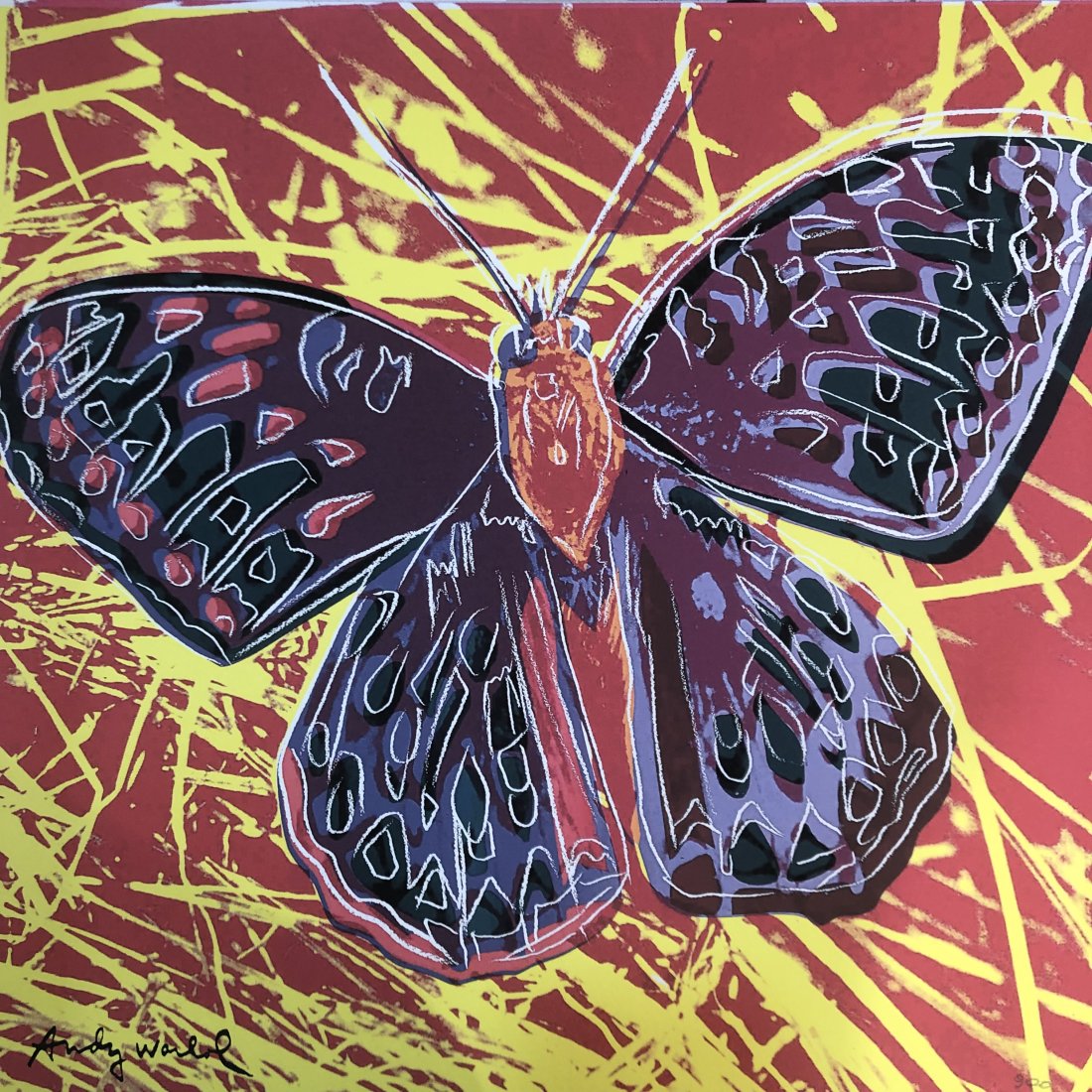 Andy Warhol offset lithograph cm 60x60 Lenox Museum Board certificate of authenticity: Andy Warhol offset lithograph Arabic numbering numbering 2400 copies Sheet size approx. 60 x 60 cm Weight between 250/300 grams Museum LENOX BOARD paper The signature is printed CMOA buffer stamp