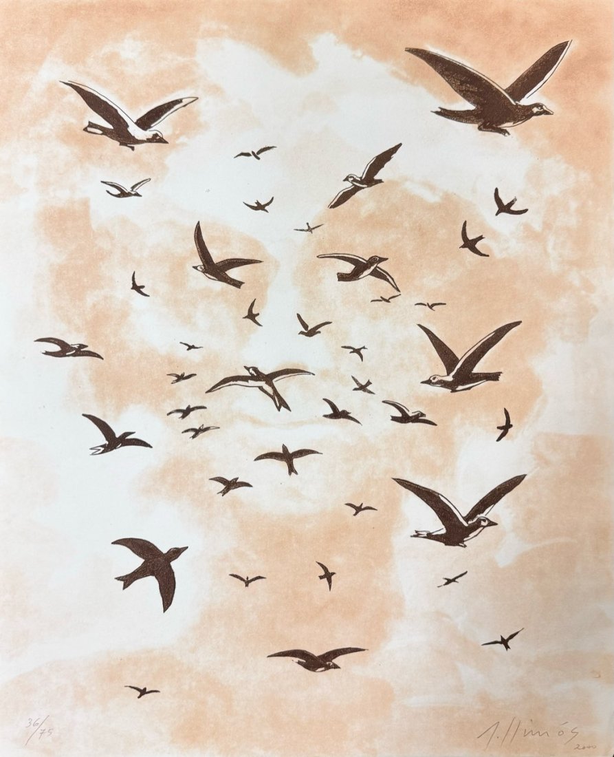 Robert Llimós Incisione "25 years of the Fundació Joan Miró" 38x46cm: Engraving by the artist Robert Llimós to celebrate the 25th anniversary of the Fundació Joan Miró.Engraving with two copper plates.Paper Velin de Arches of 250g.Dimensions: 38 x 46 cmEdition of 75