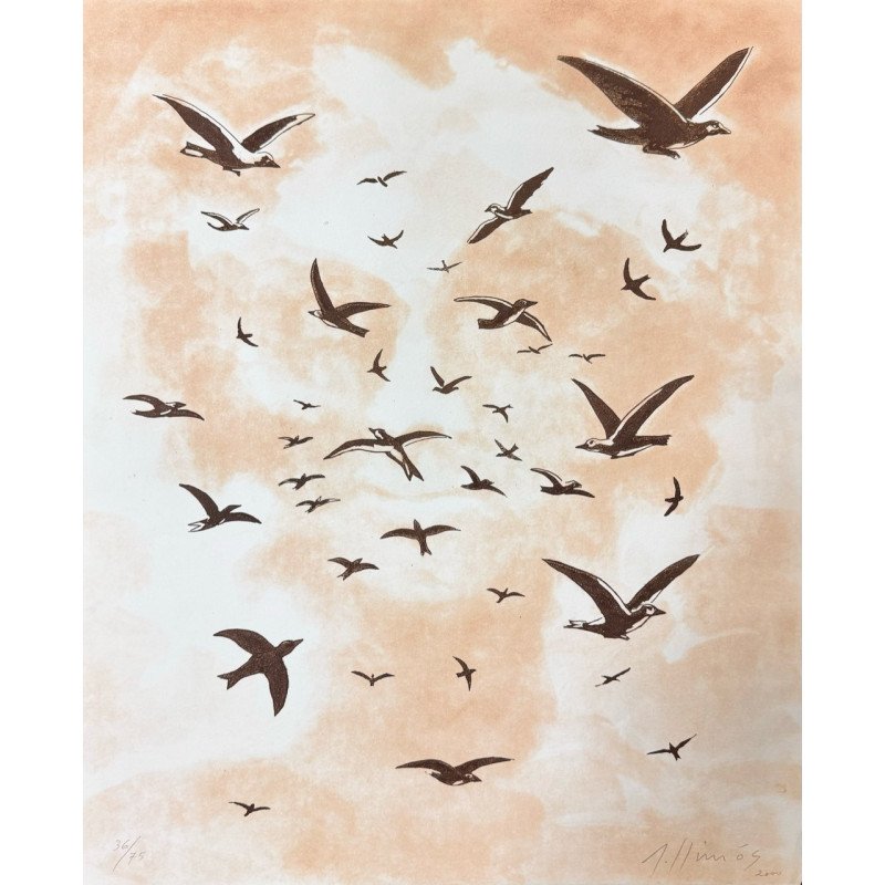 Robert Llimós Incisione "25 years of the Fundació Joan Miró" 38x46cm: Engraving by the artist Robert Llimós to celebrate the 25th anniversary of the Fundació Joan Miró.Engraving with two copper plates.Paper Velin de Arches of 250g.Dimensions: 38 x 46 cmEdition of 75