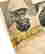 item-134166283=3