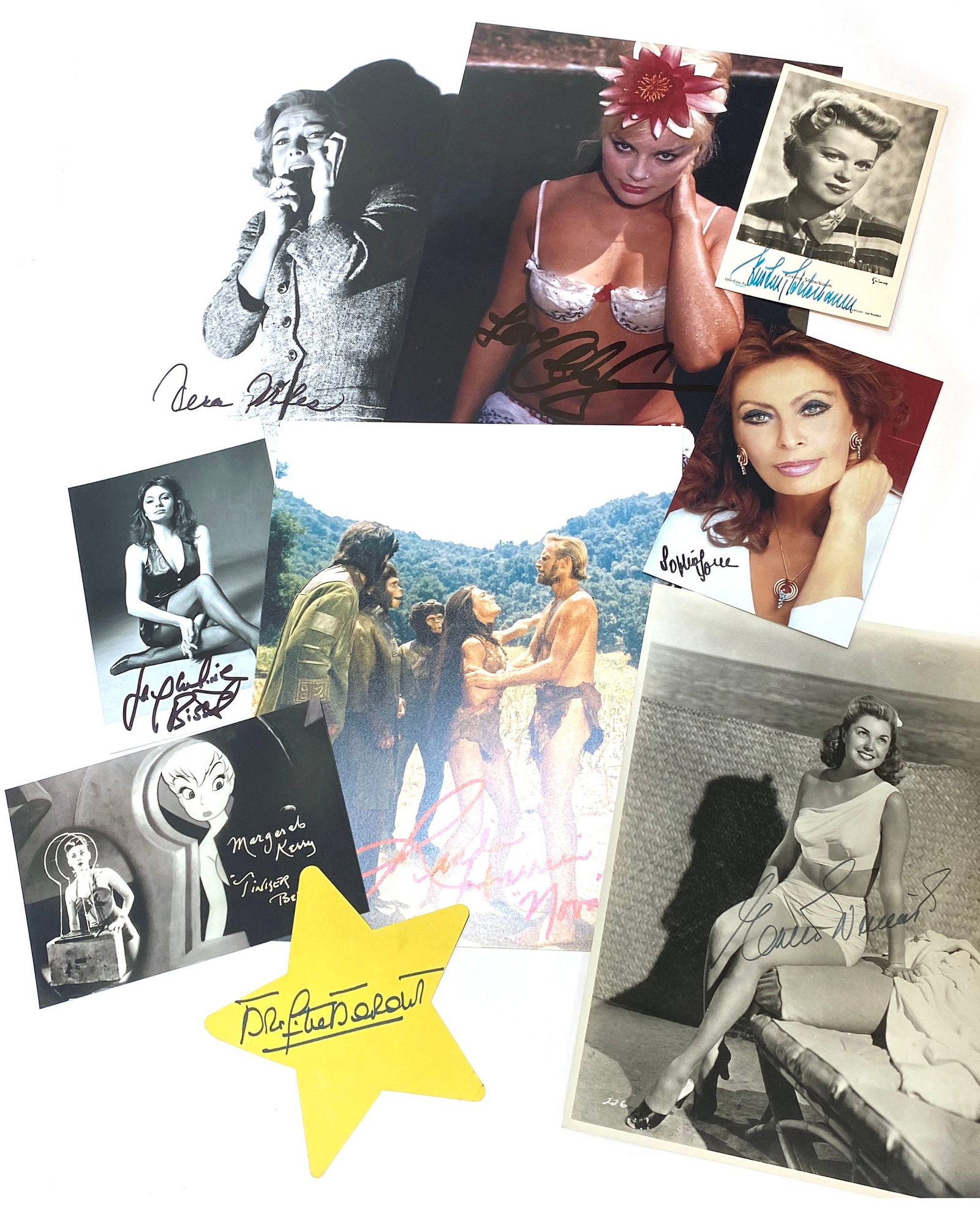 Classic Actresses Autograph Collection of 9 Including Sophia Loren, Brigitte Bardot & Elke Sommer (1 of 1)