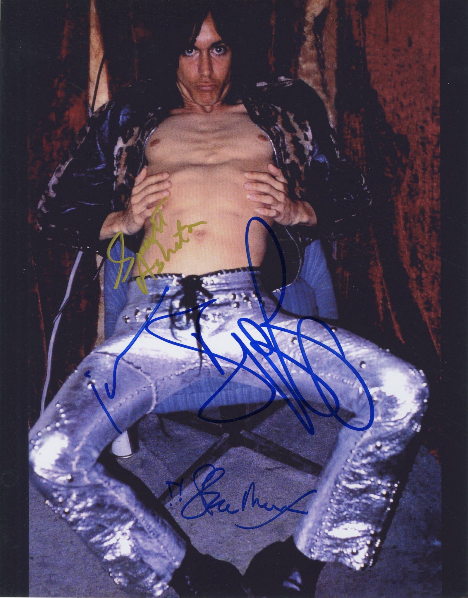 The Stooges - Iconic Punk Rock Band - Autographed 11 x 14" Signed by Iggy Pop, Scott, James & Steve (1 of 1)