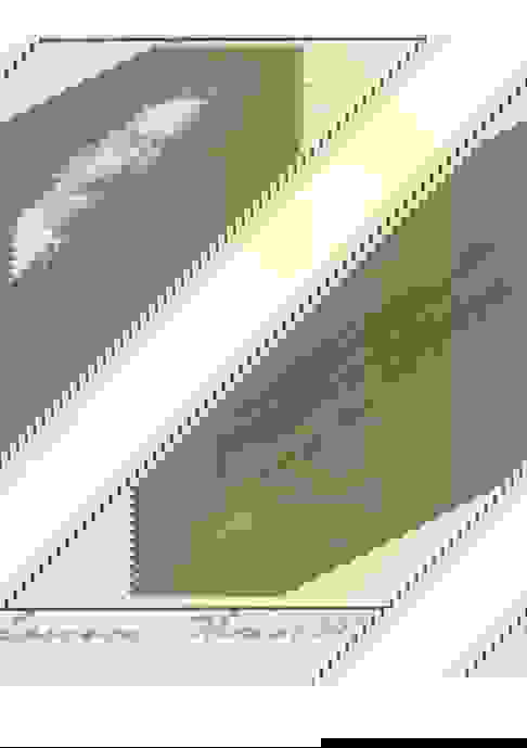 Thomas W. Lawson Businessman & Economist Original Platinum Print