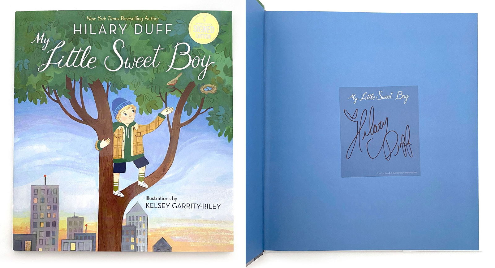 Hilary Duff – Actress & Singer – Autographed “My Little Sweet Boy” Book (1 of 2)