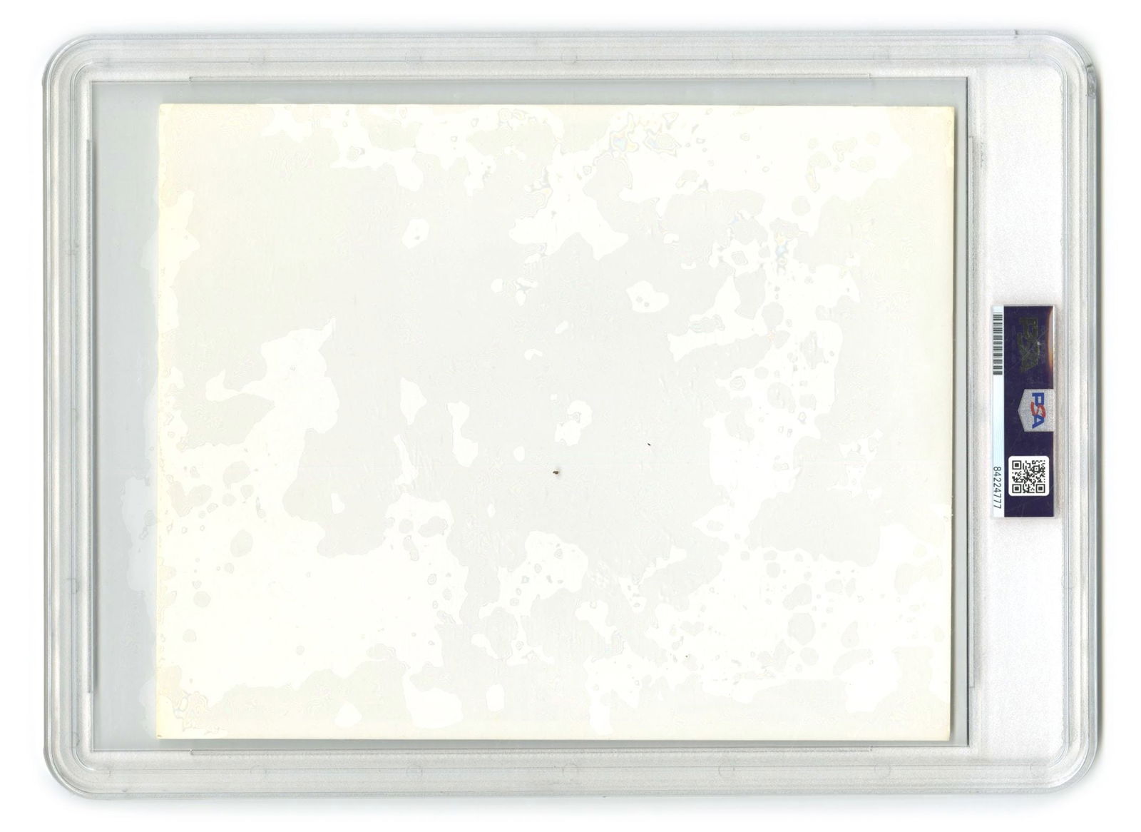 John F. Kennedy – Assassination Day Speech – 10 x 8" Original Type 1 Photo – Fort  - 2