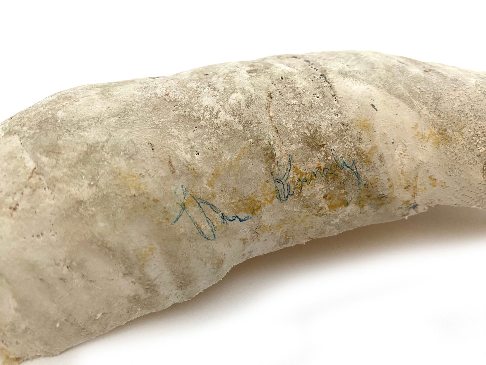 John F. Kennedy – Autographed Plaster Arm Cast as U.S. Senator – 1958 Campaign Artifact - 5