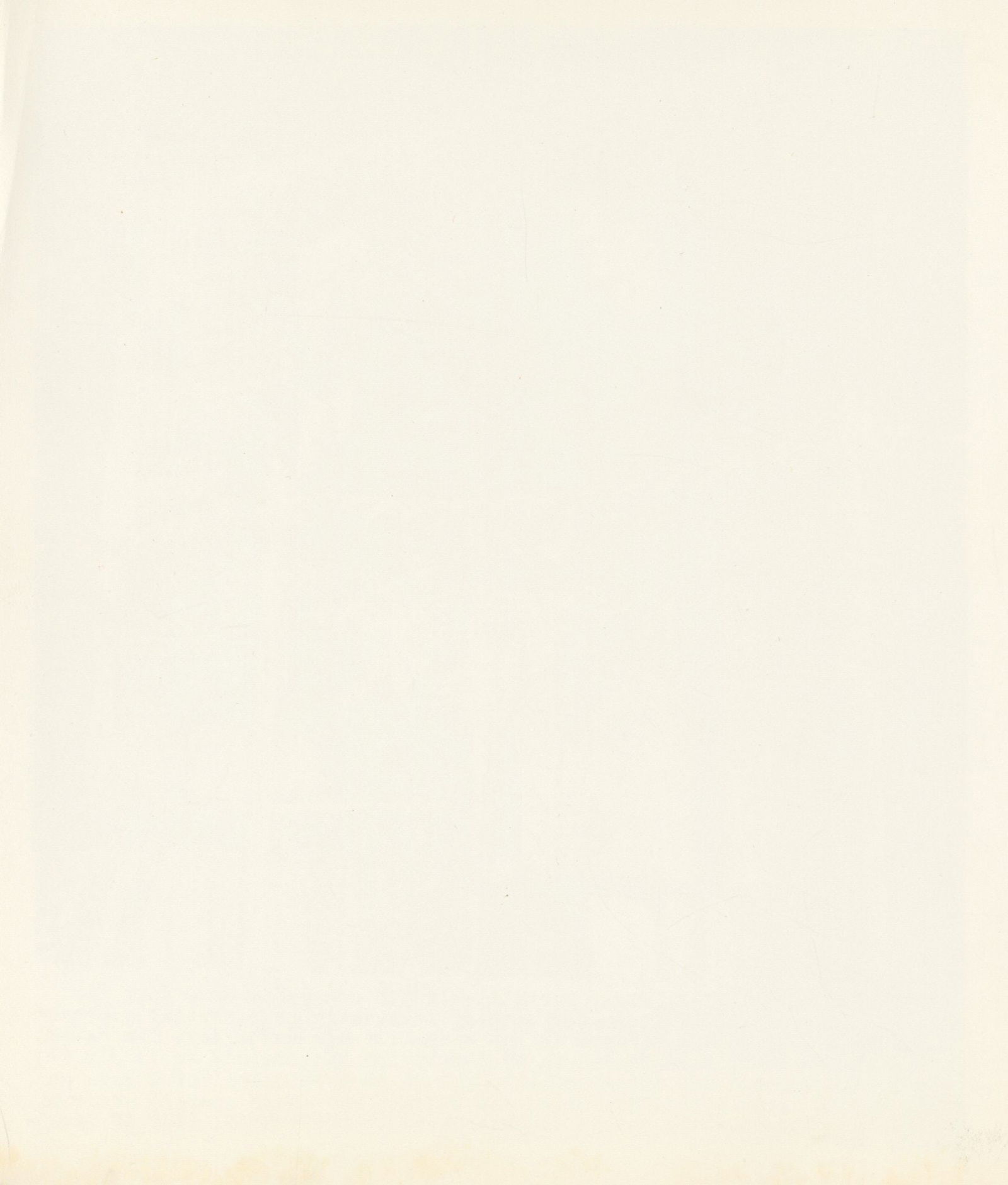 Jacqueline Kennedy – Original 1960 Campaign Photograph – 7.5 x 9" - 2