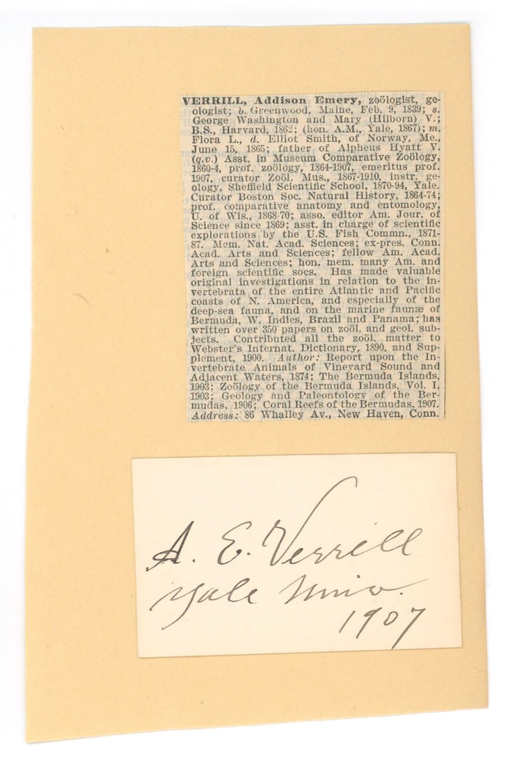 Addison Emery Verrill – American Zoologist – Autographed Card (1907): Details: Addison Emery Verrill autographed card signed and dated 1907. The card is affixed to a larger backing sheet and accompanied by a contemporary biographical clipping detailing Verrill’s