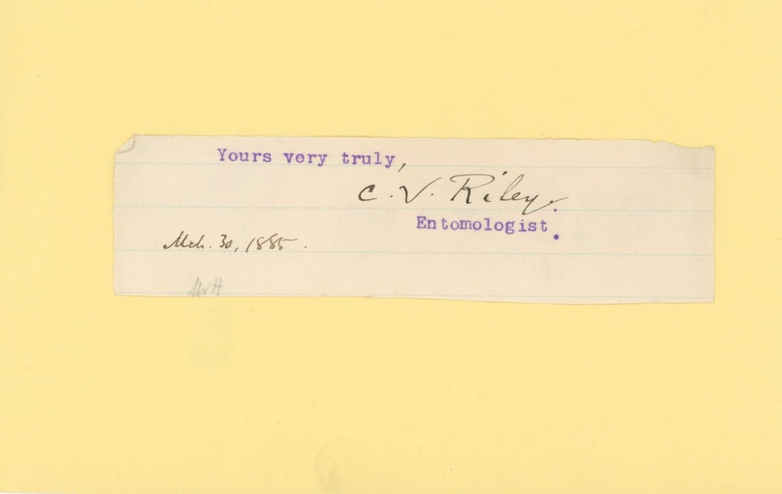 Charles V. Riley – American Entomologist – Clipped Signature (1885): Details: Charles V. Riley clipped autograph signature dated 1885, written in dark ink beneath the typed closing “Yours very truly.” The signature is affixed to a larger backing sheet.Fine