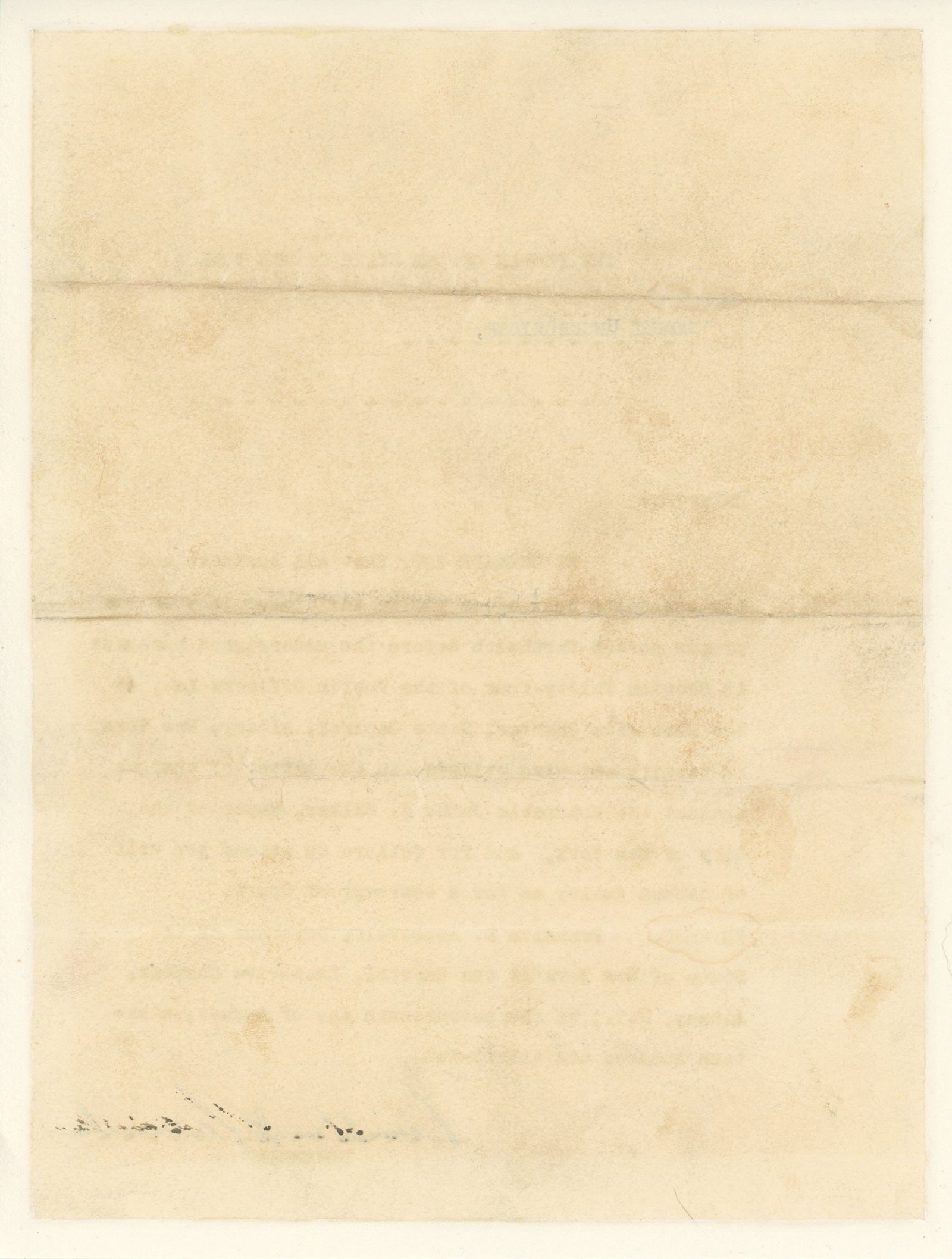 Franklin D. Roosevelt – 32nd U.S. President – Autographed Typed Letter (TLS) - 2