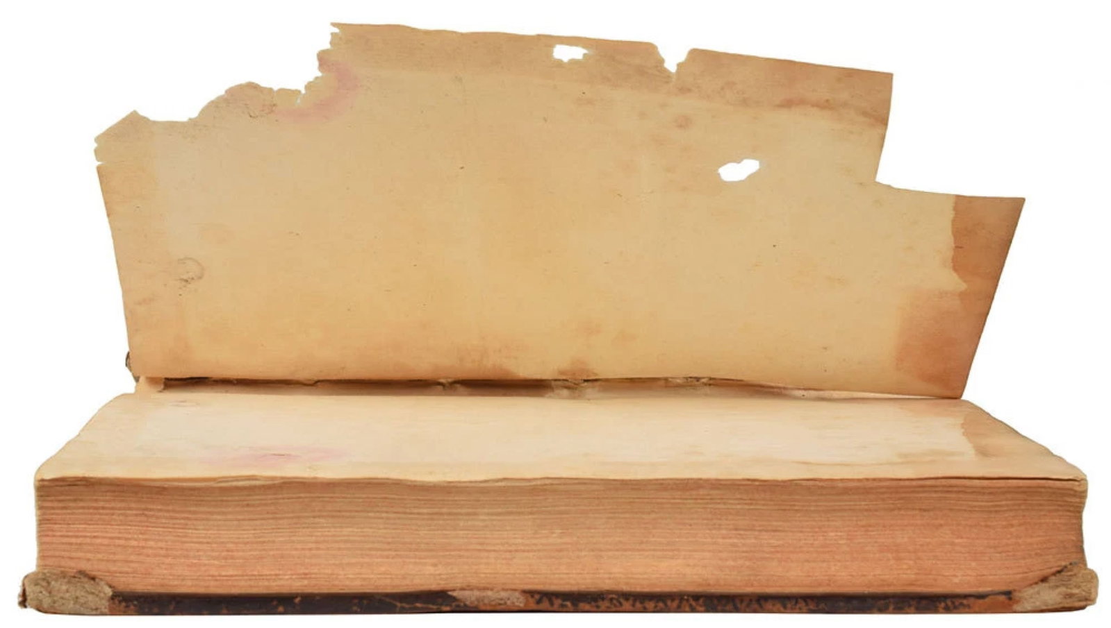 Thomas Lynch, Jr. - Declaration of Independence Signer - Book from His Personal Library - 4